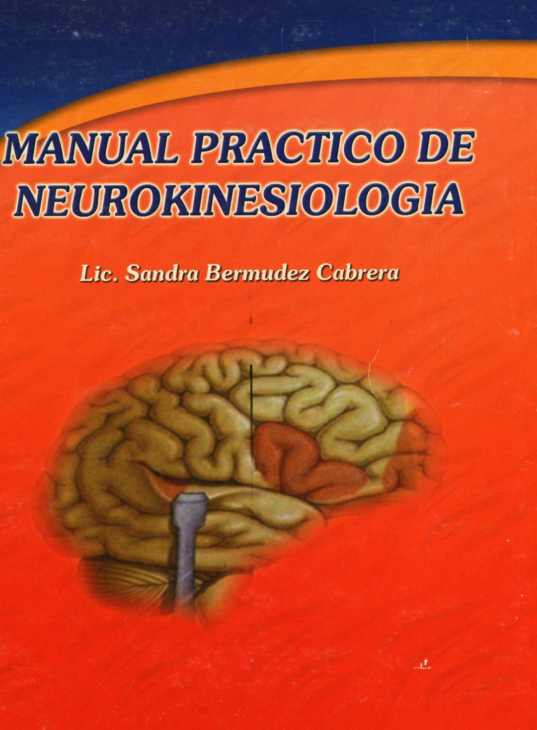 Manual Practico de Neurokinesiologia
      <i>es</i>