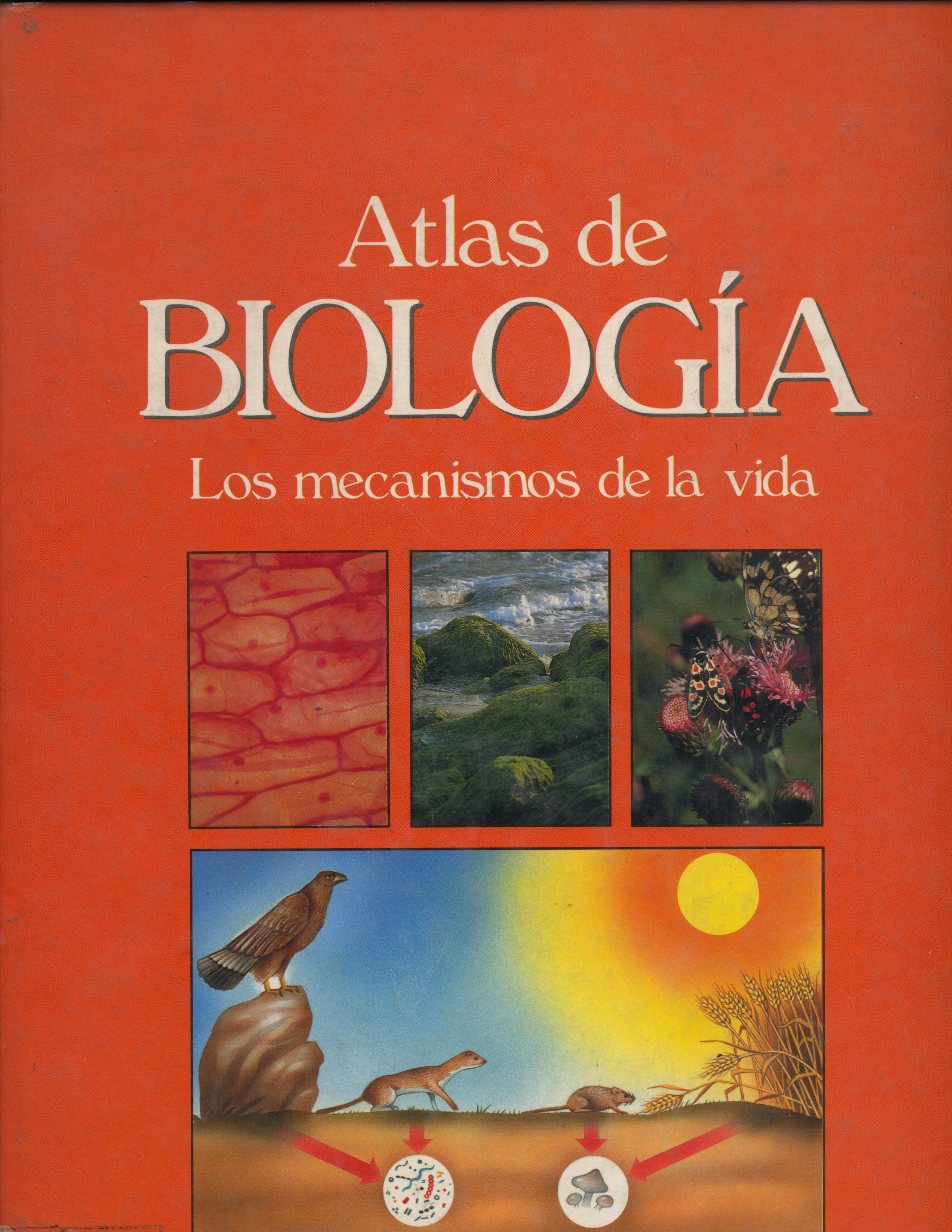Atlas de Biologia los mecanismos de la vida