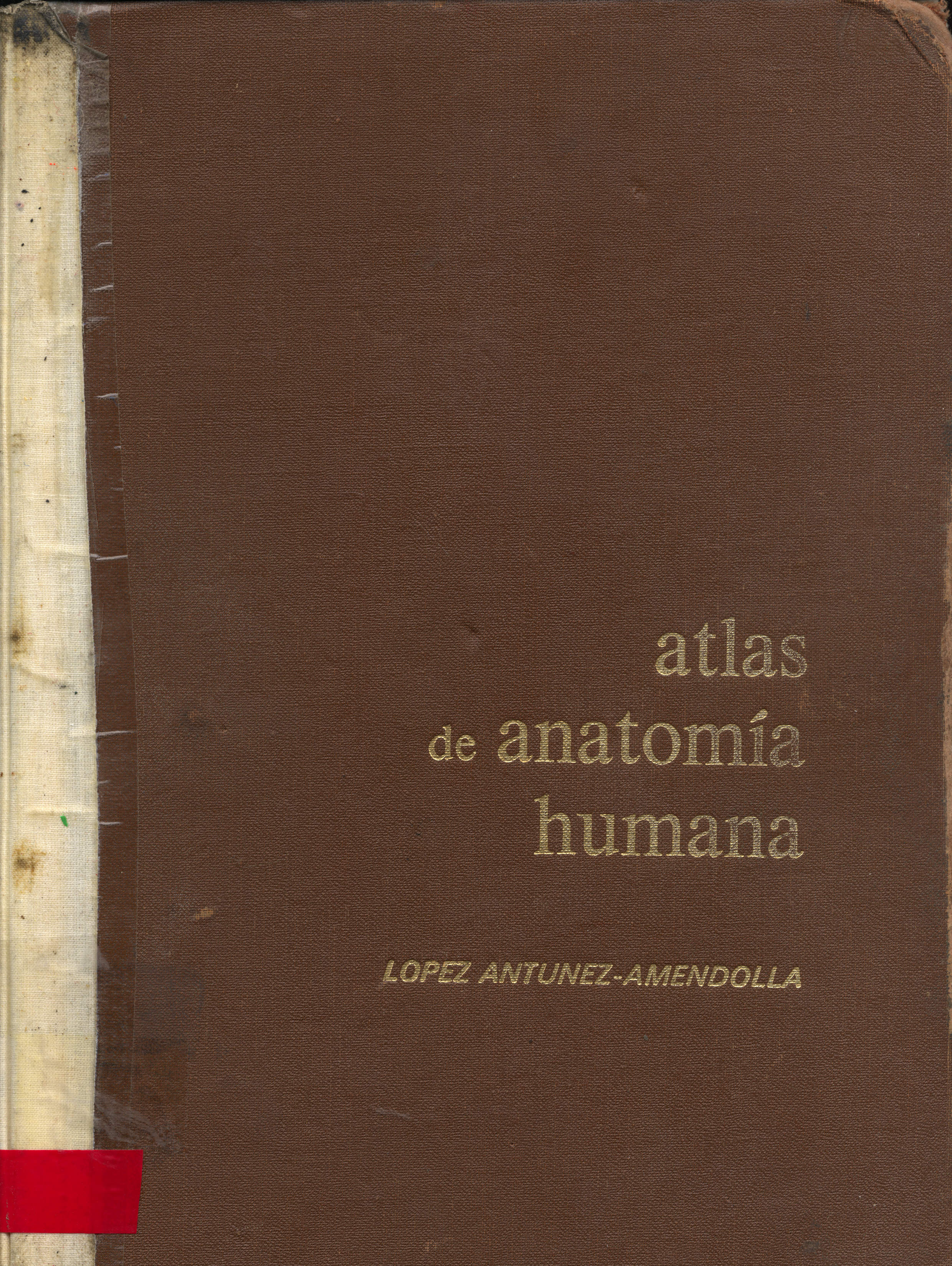 Atlas de Anatomia humana