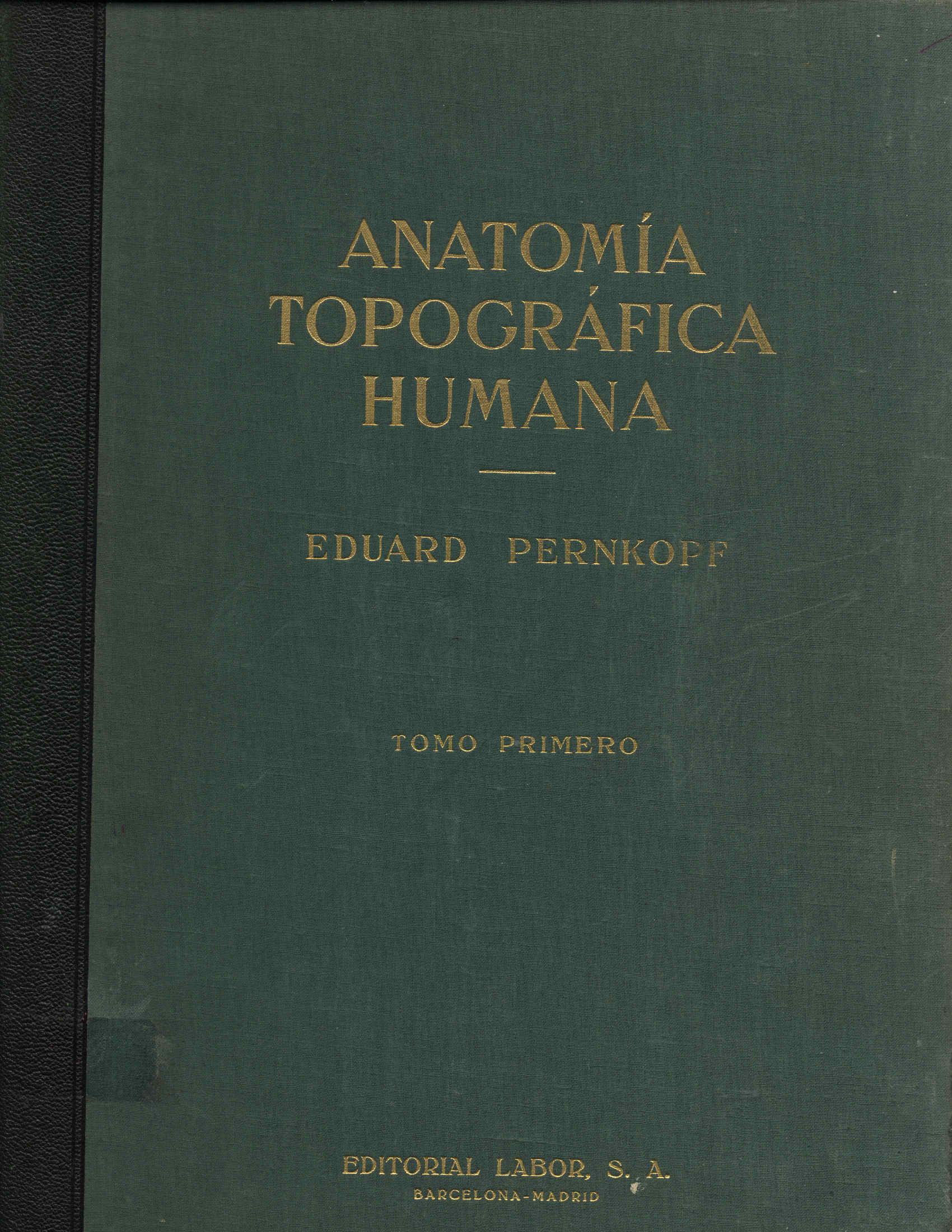 Anatomia topografica humana