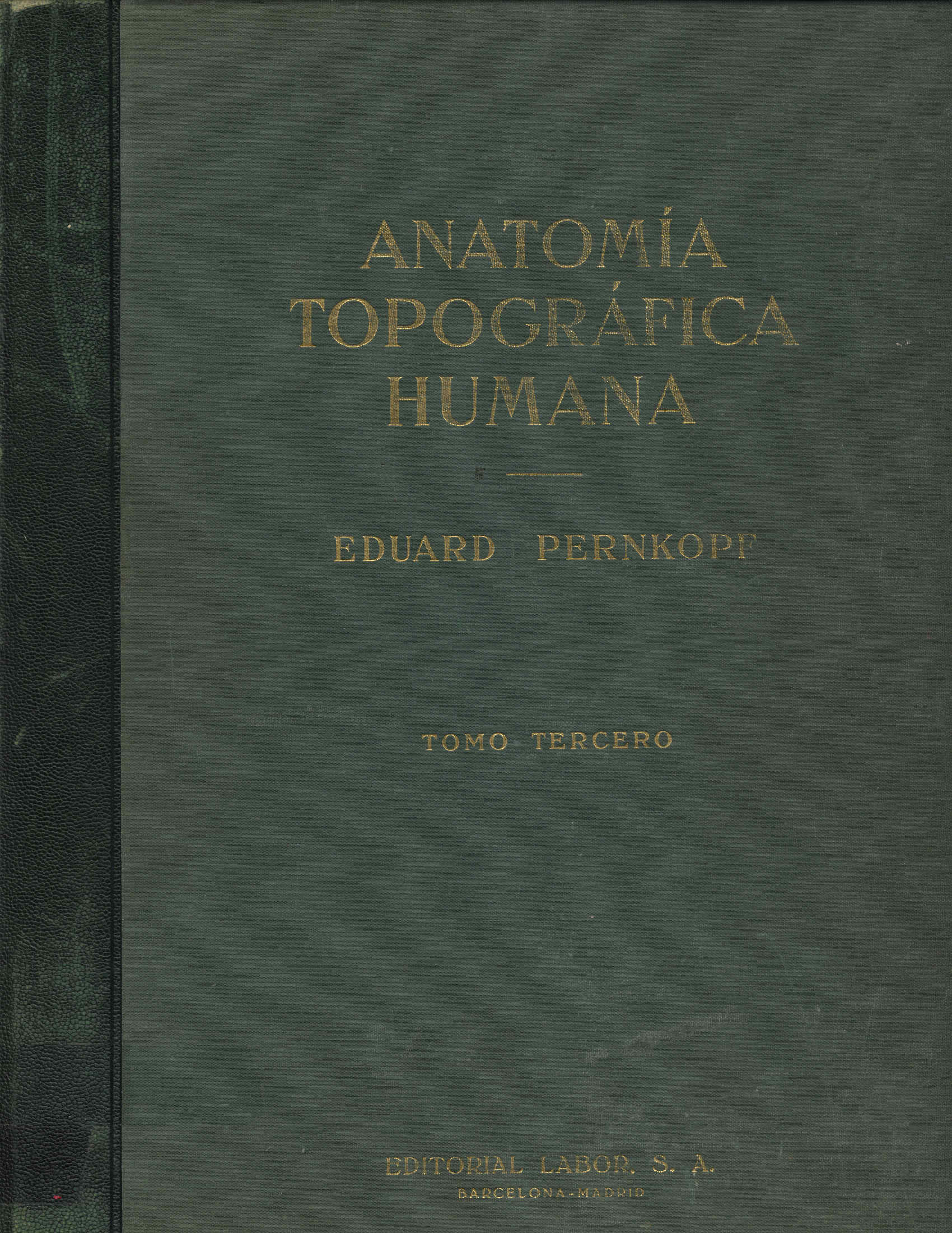 Anatomia topografica humana