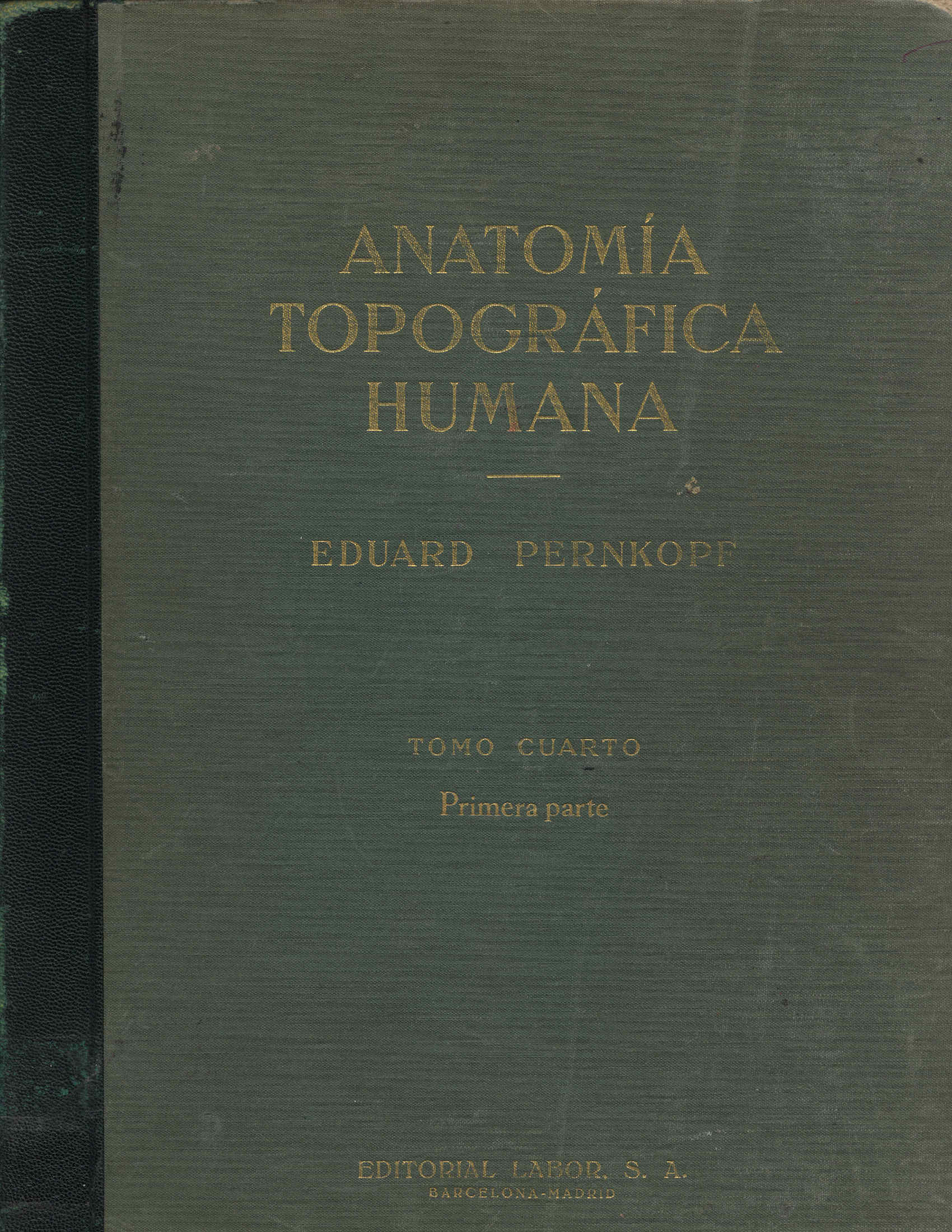 Anatomia topografica humana