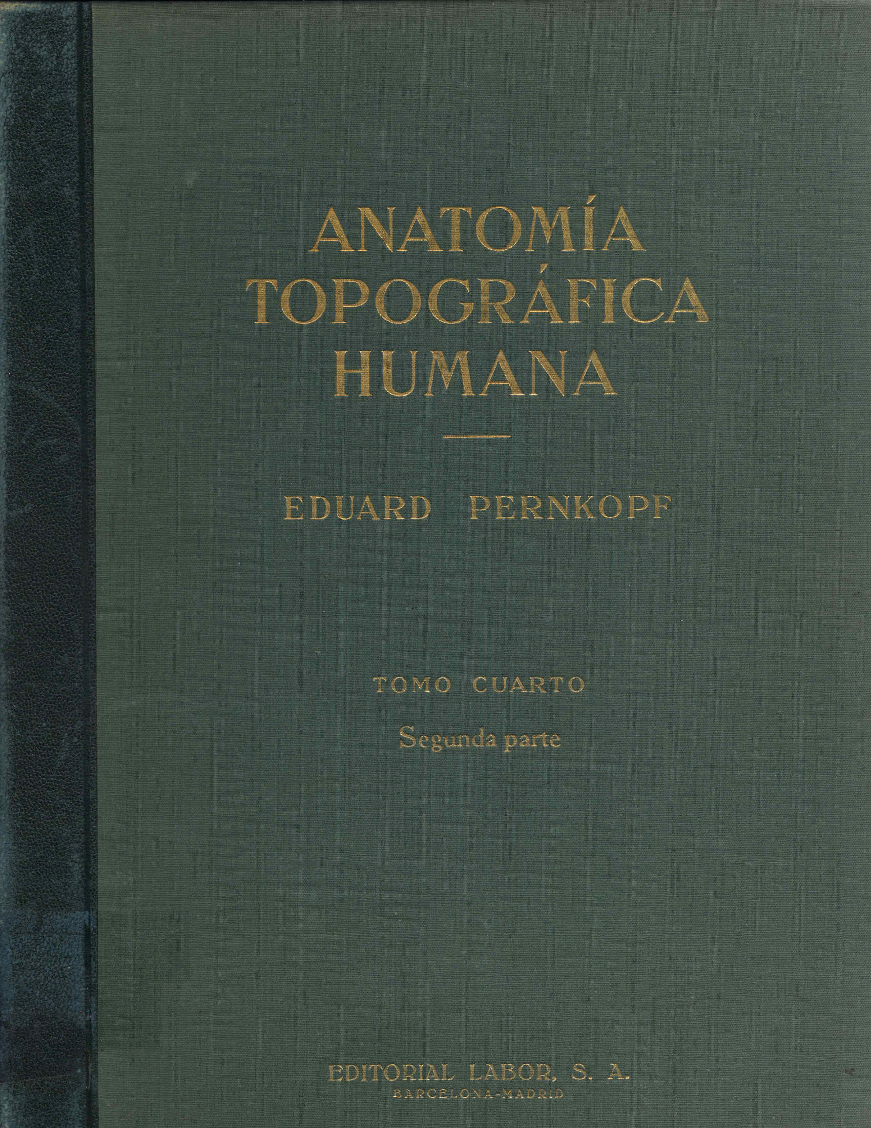 Anatomia topografica humana
