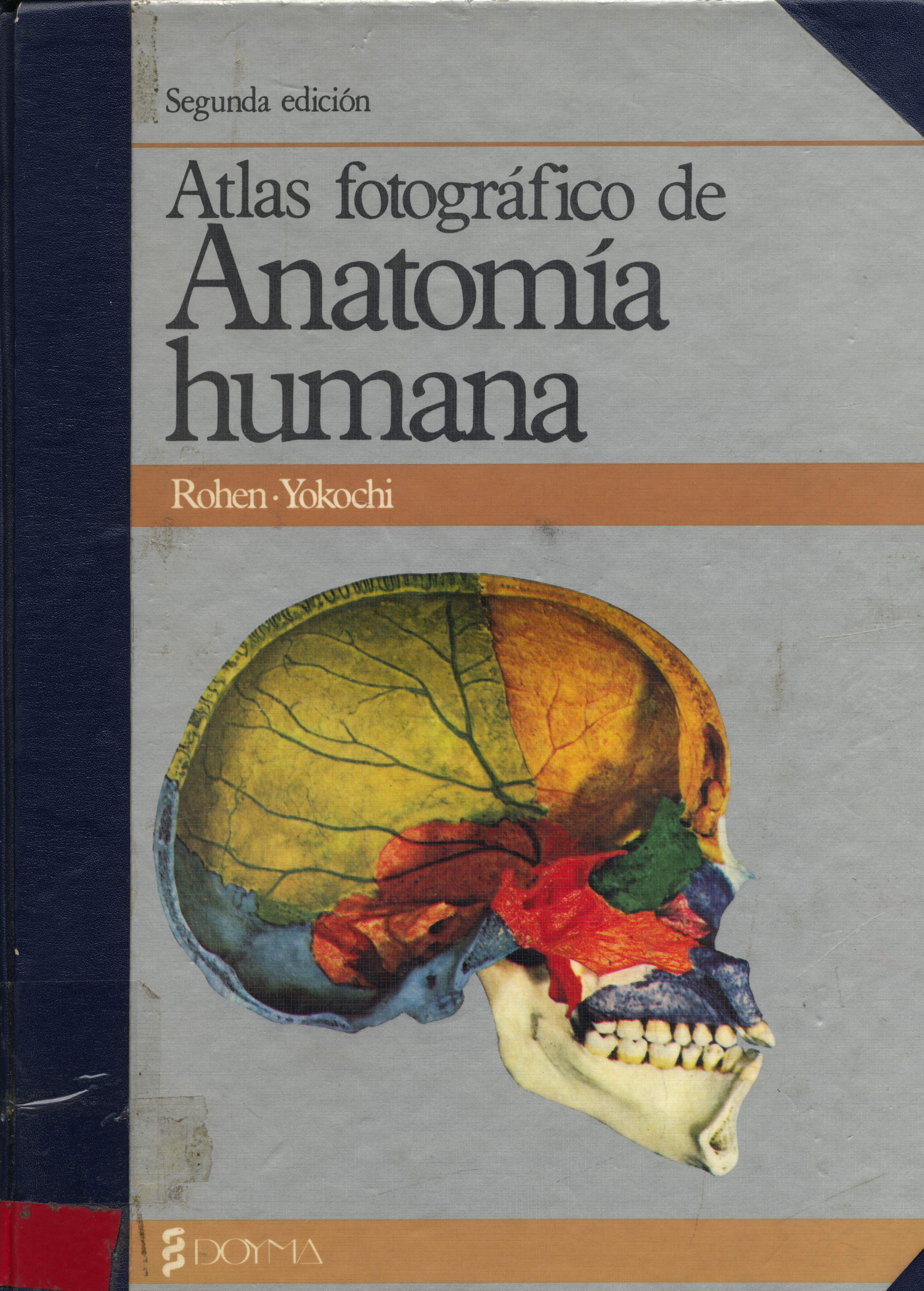 Atlas topografico de anatomia humana