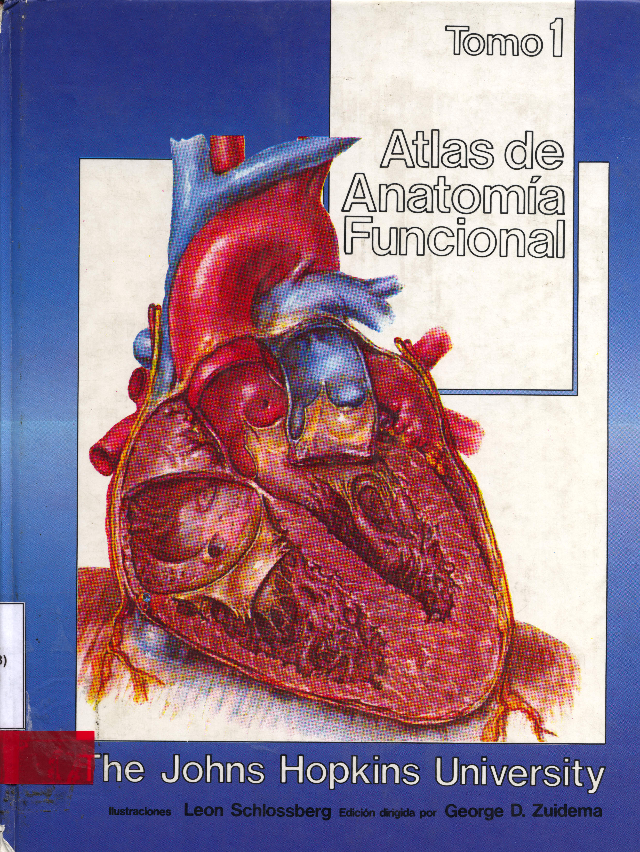 Atlas de anatomia funcional