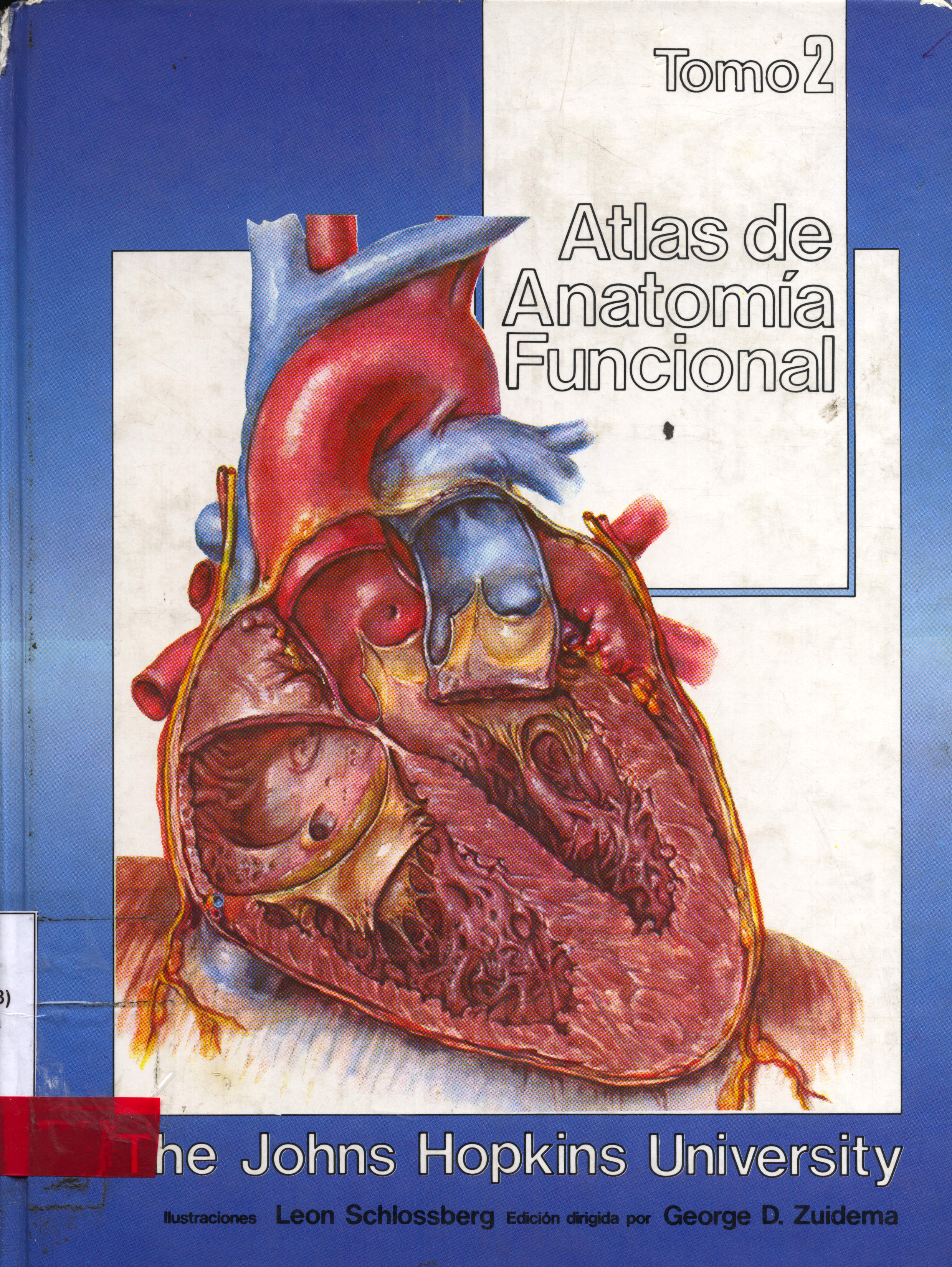 Atlas de anatomia funcional