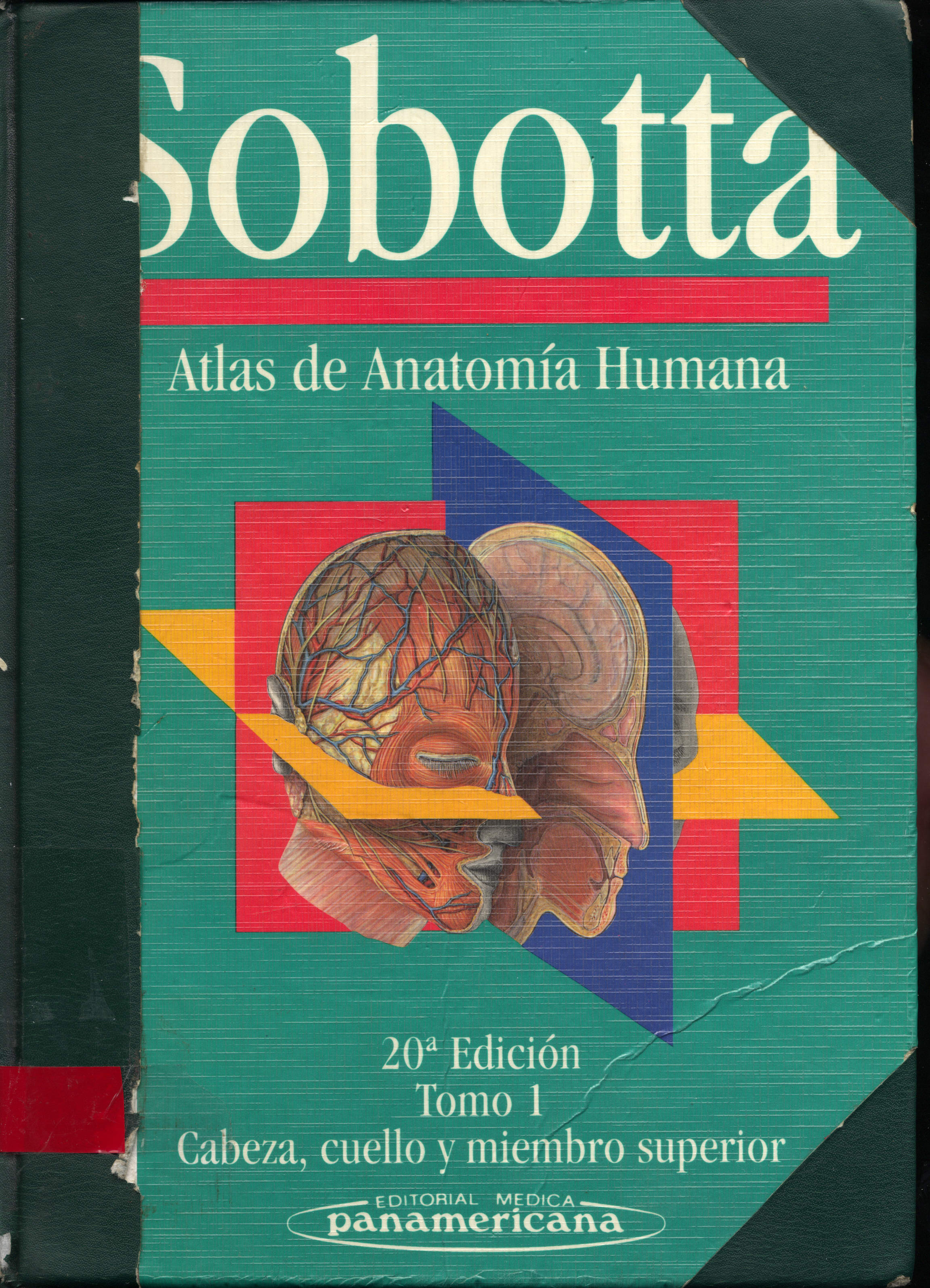 Atlas Anatomia humana