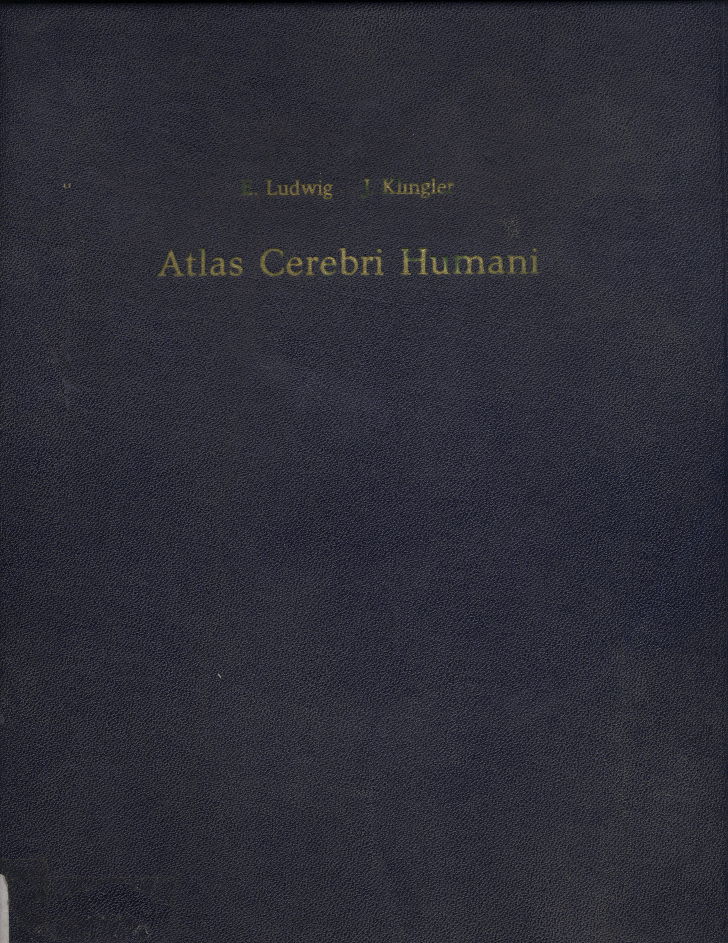 Atlas celebri humani