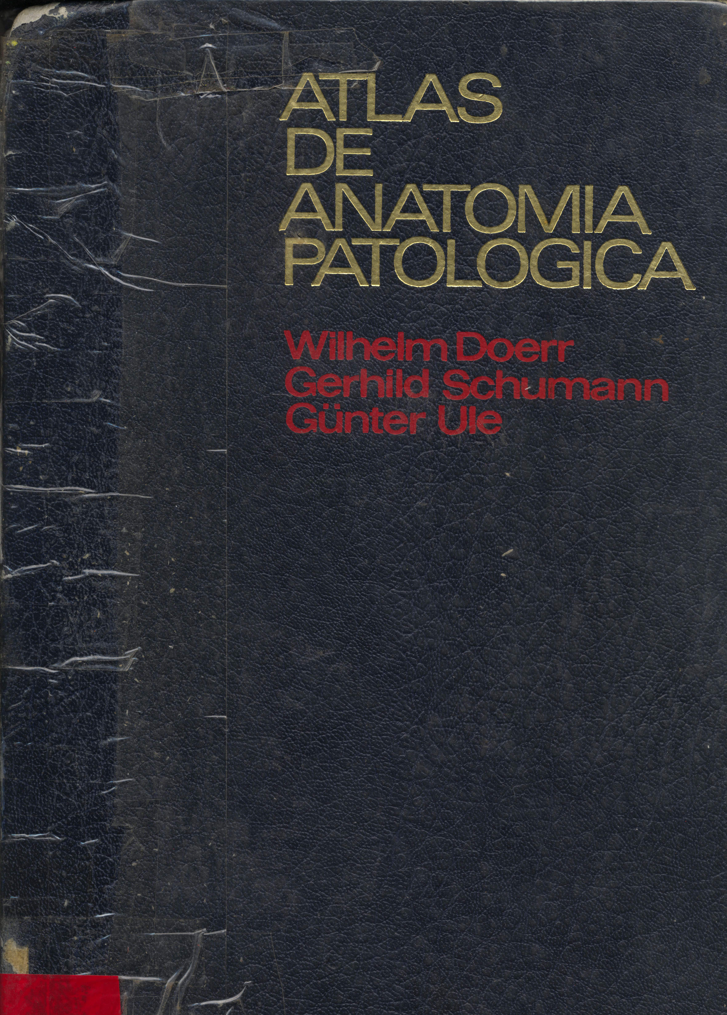 Atlas de anatomia patologica