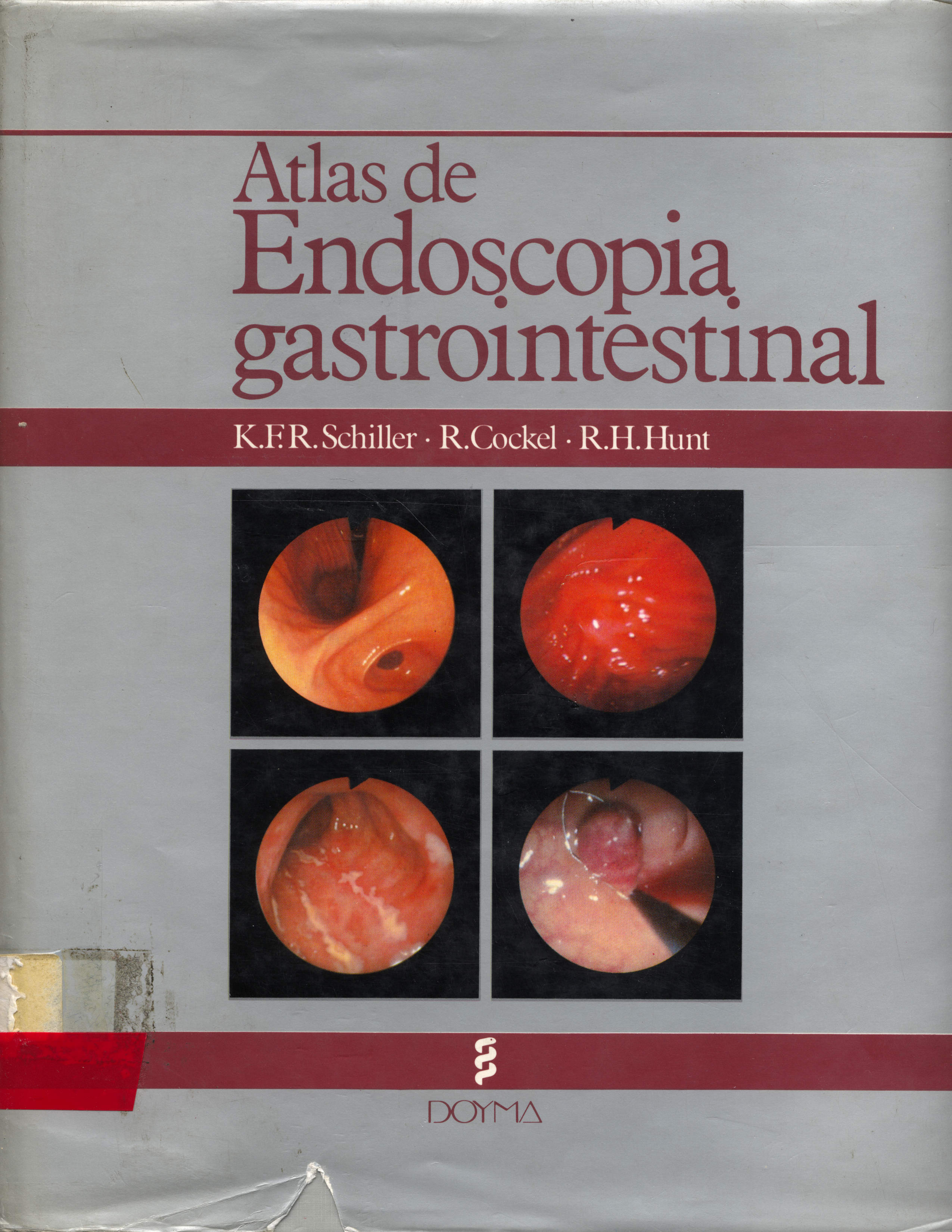Atlas endoscopia gastrointestinal