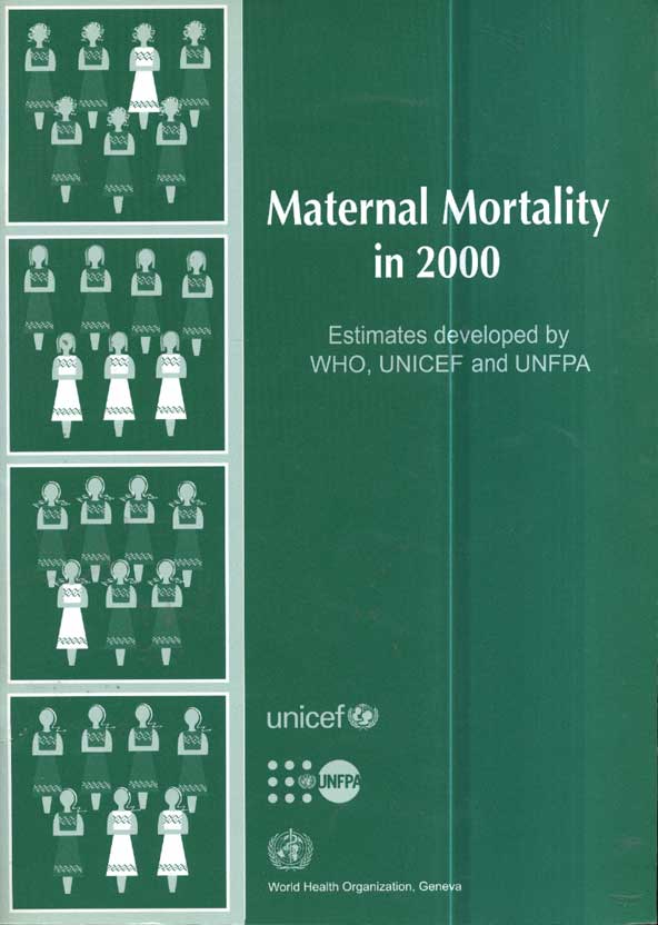 Maternal mortality in 2000