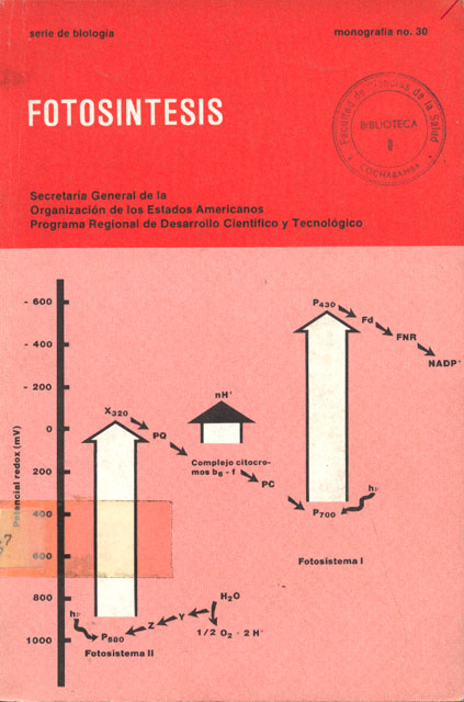 FOTOSINTESIS