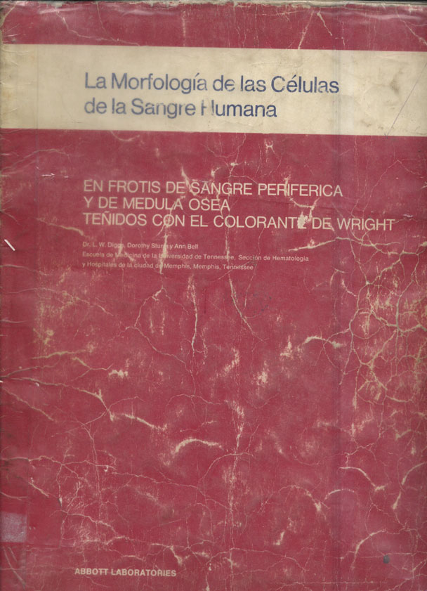 La morfologia de las celulas de la sangre humana
      <i>es</i>