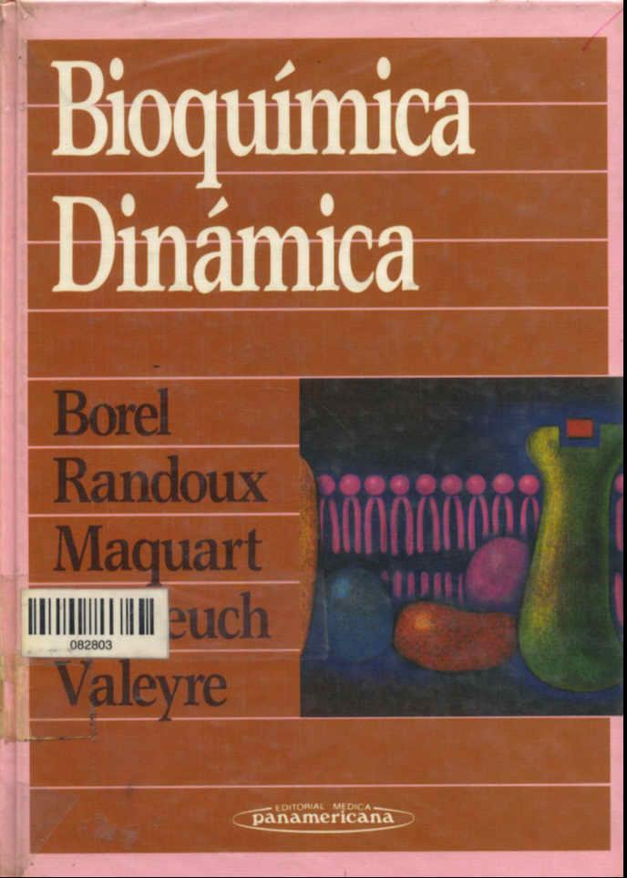 Bioquimica dinamica