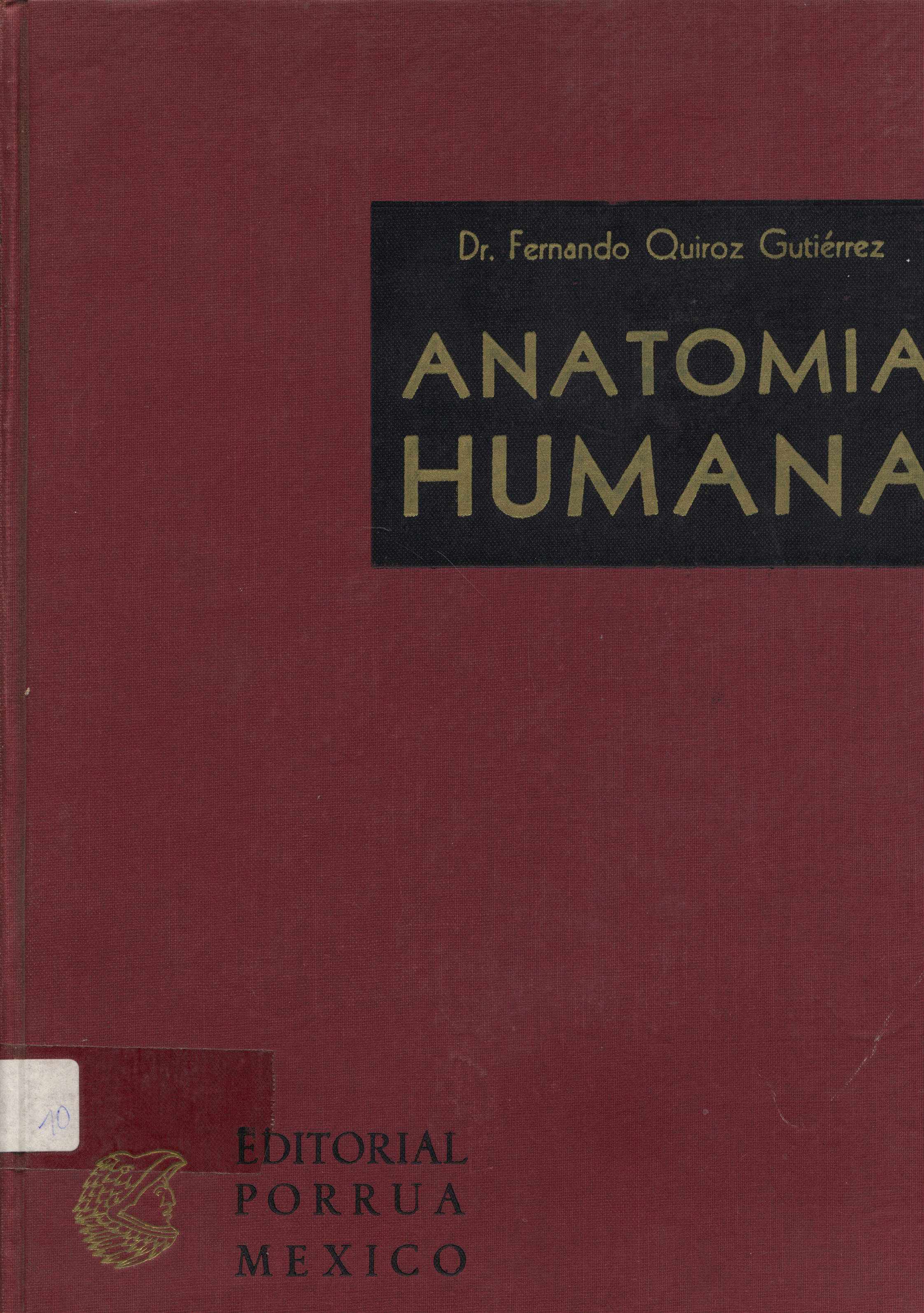 Anatomia humana