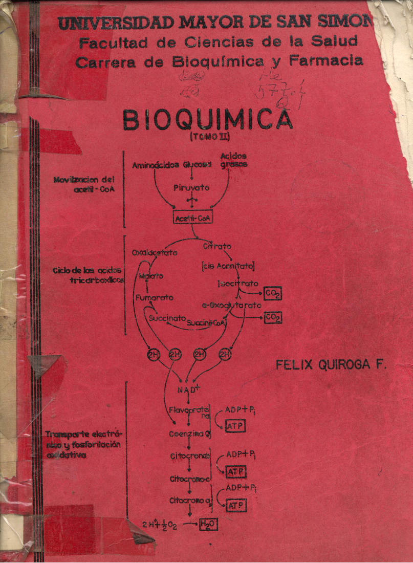 Bioquimica