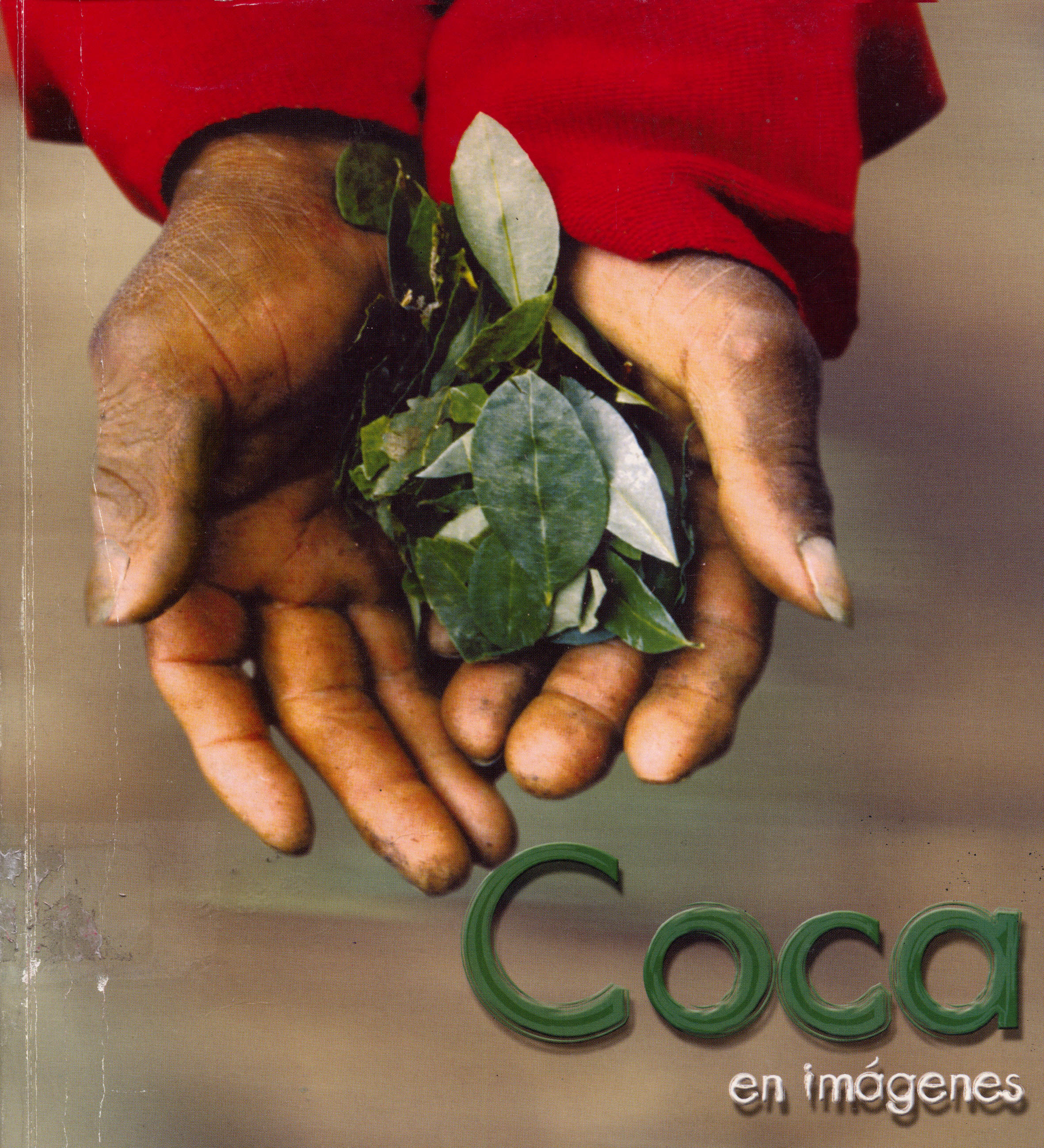 Coca en imagenes