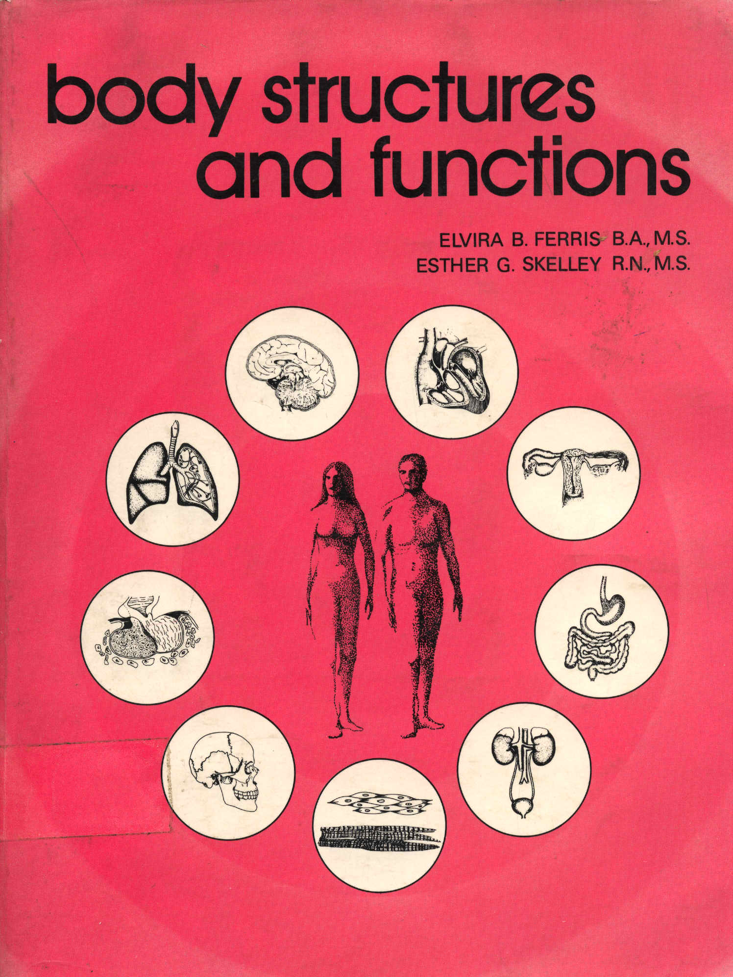 Body structures and functions