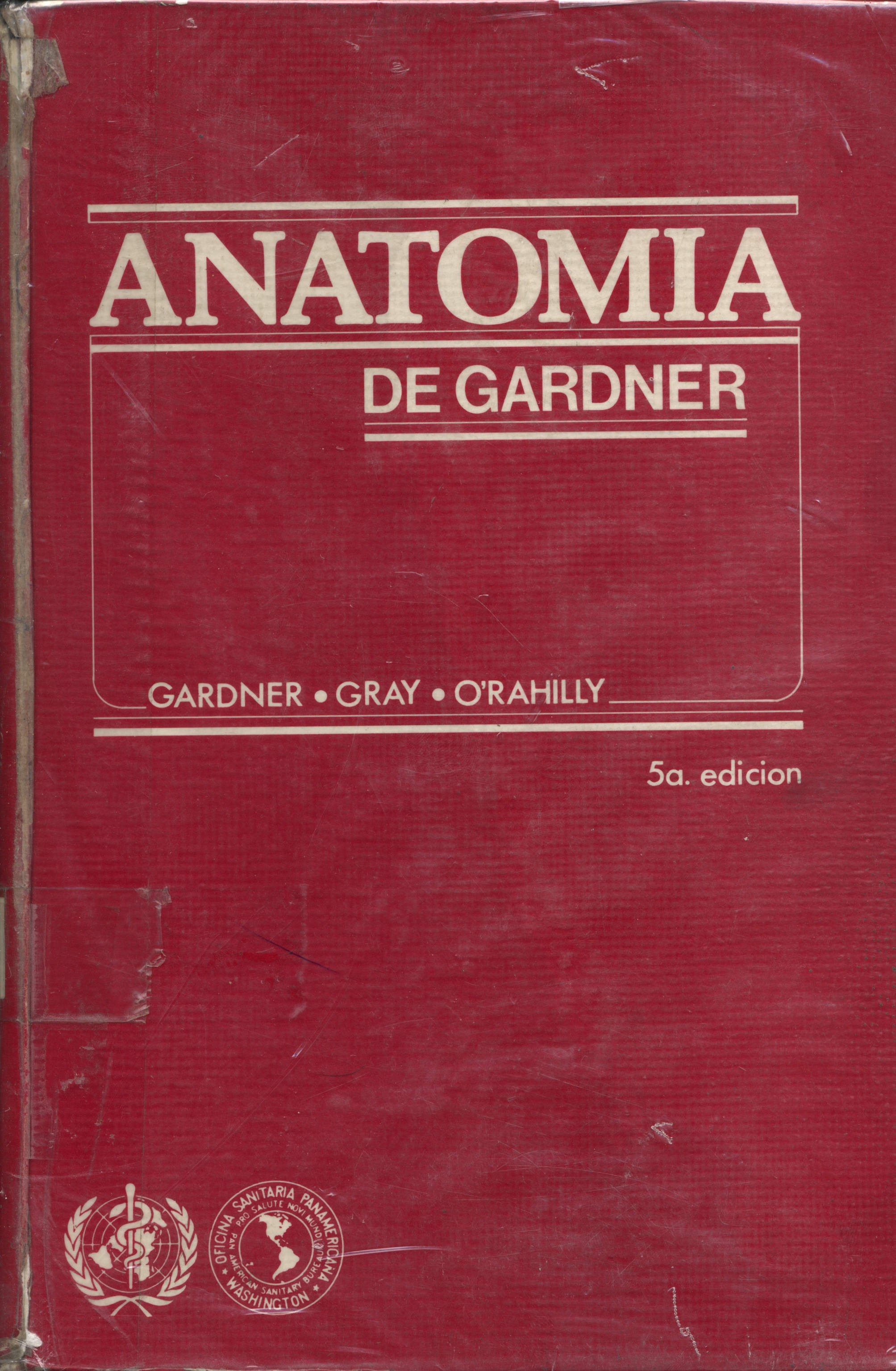 Anatomia