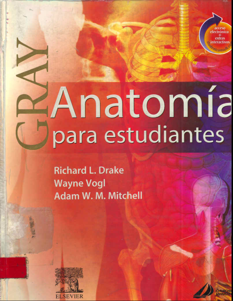Anatomia para estudiantes
