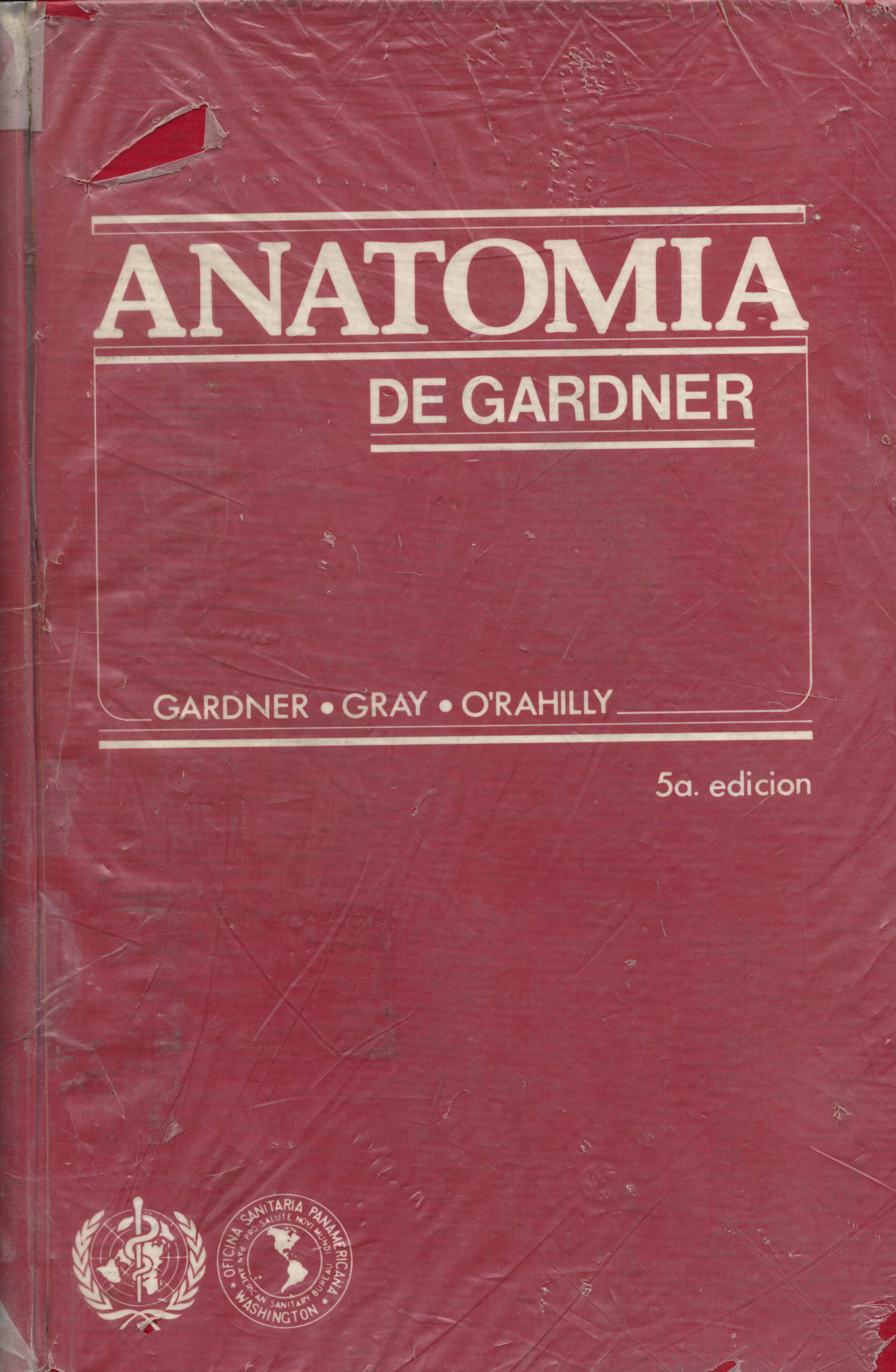 Anatomia