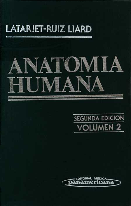 Anatomia humana