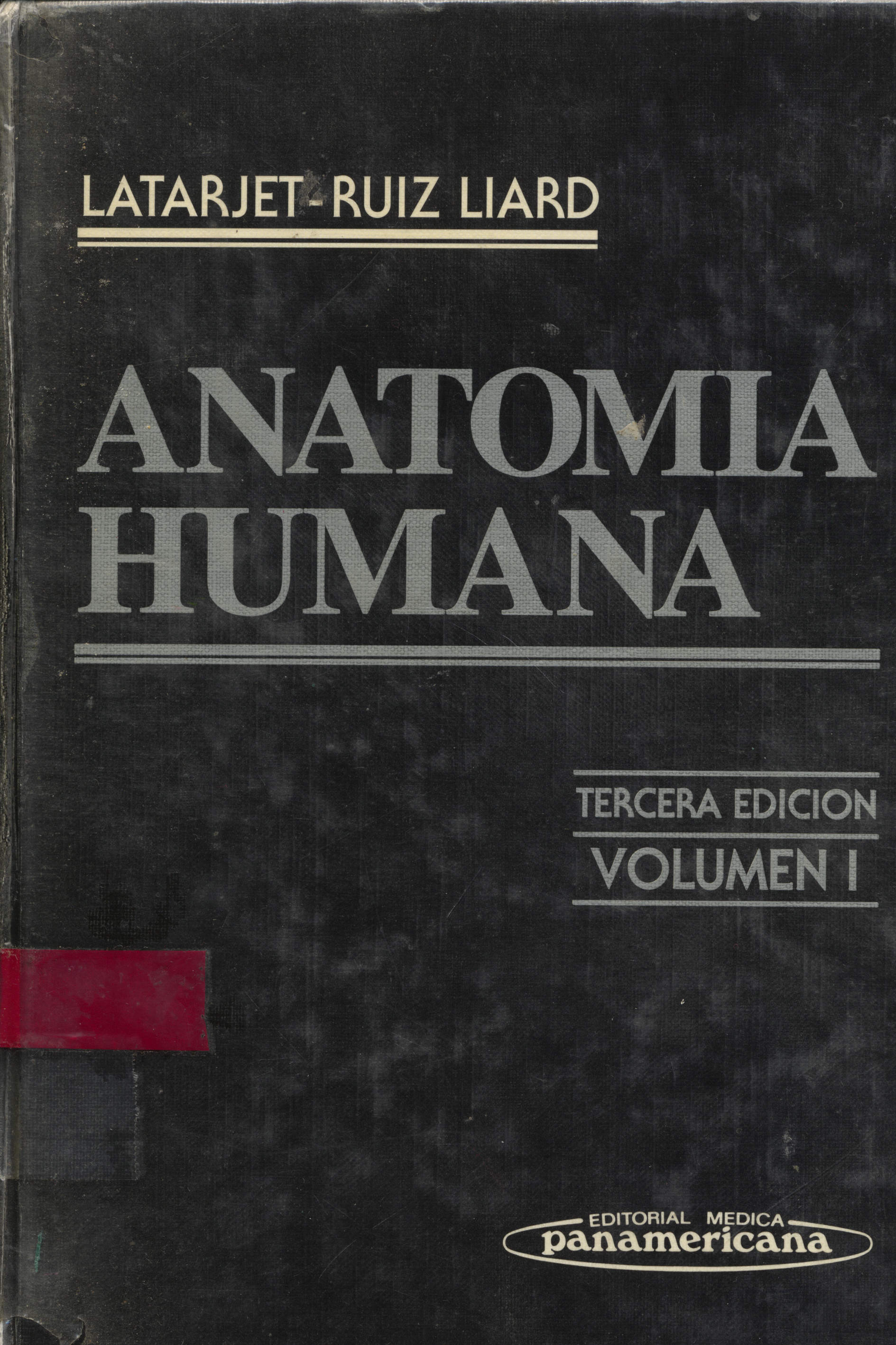 Anatomia humana