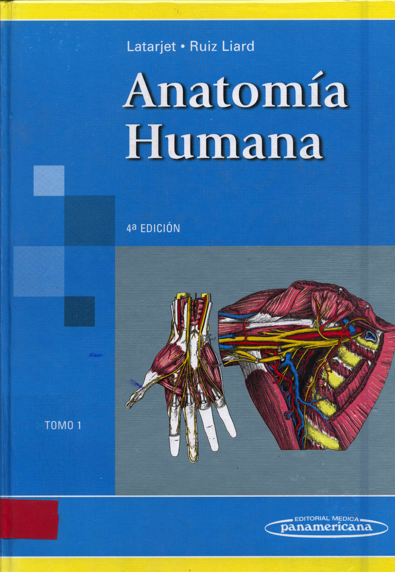 Anatomia humana