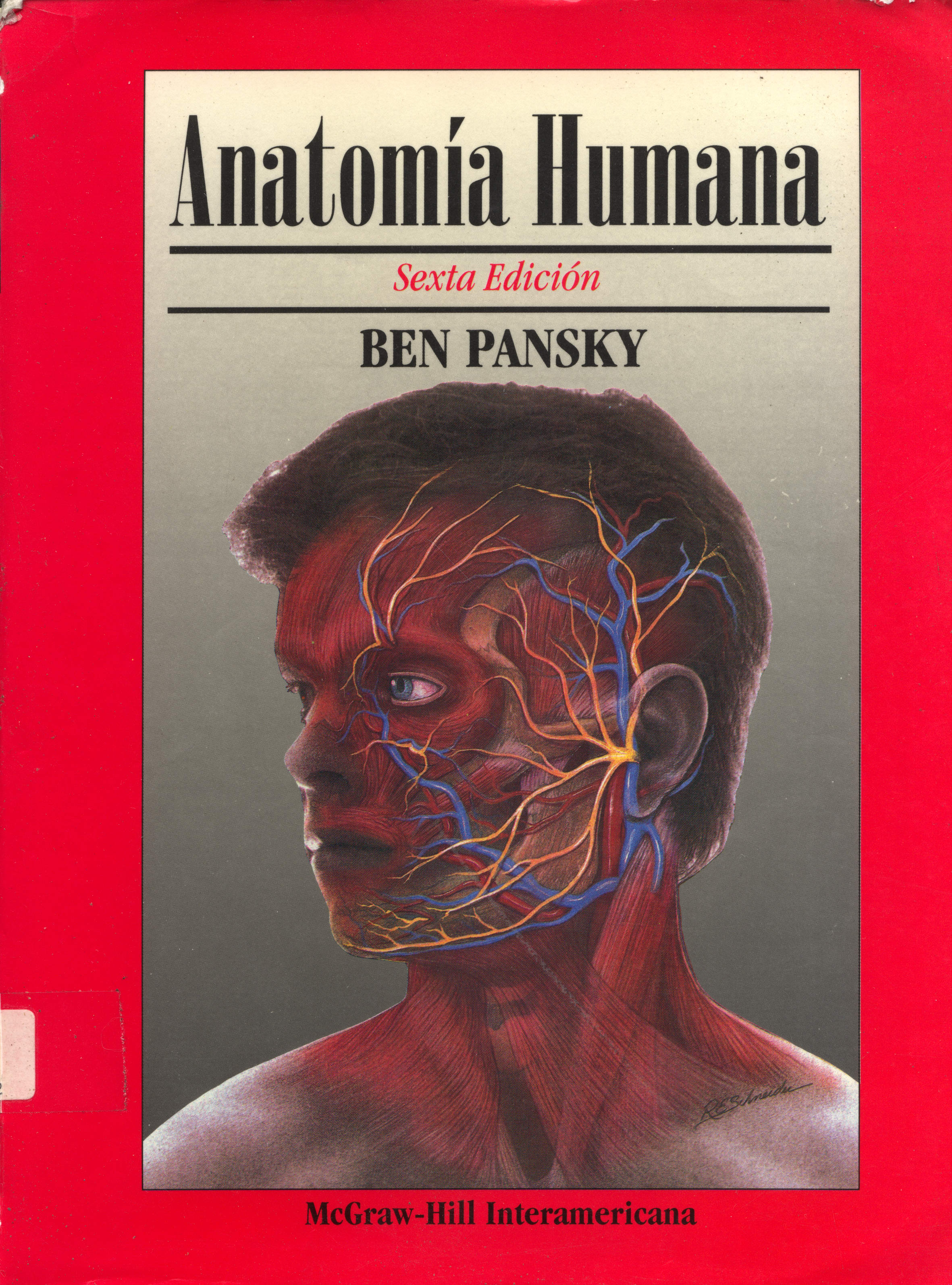 Anatomia humana