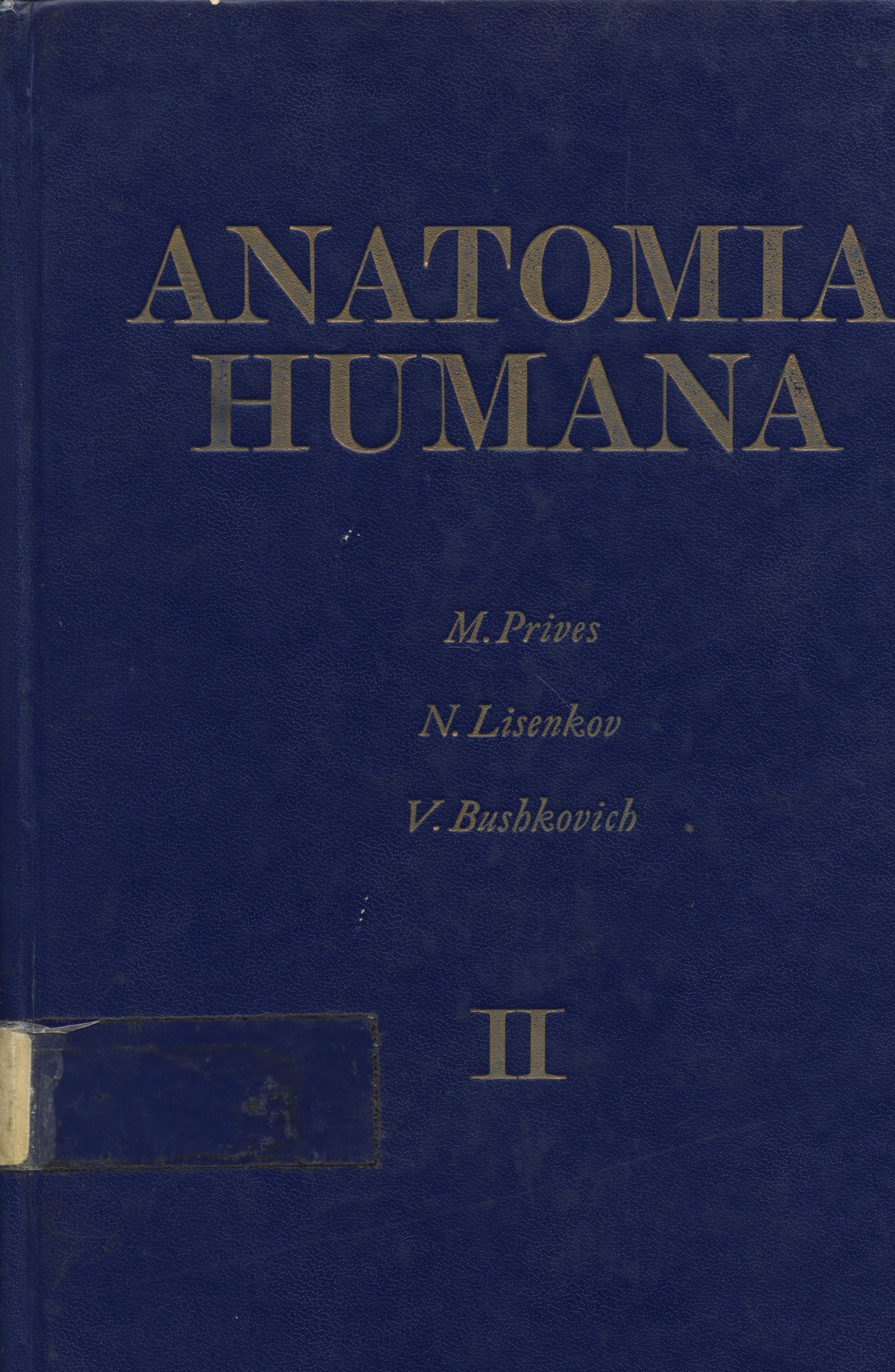 Anatomia humana