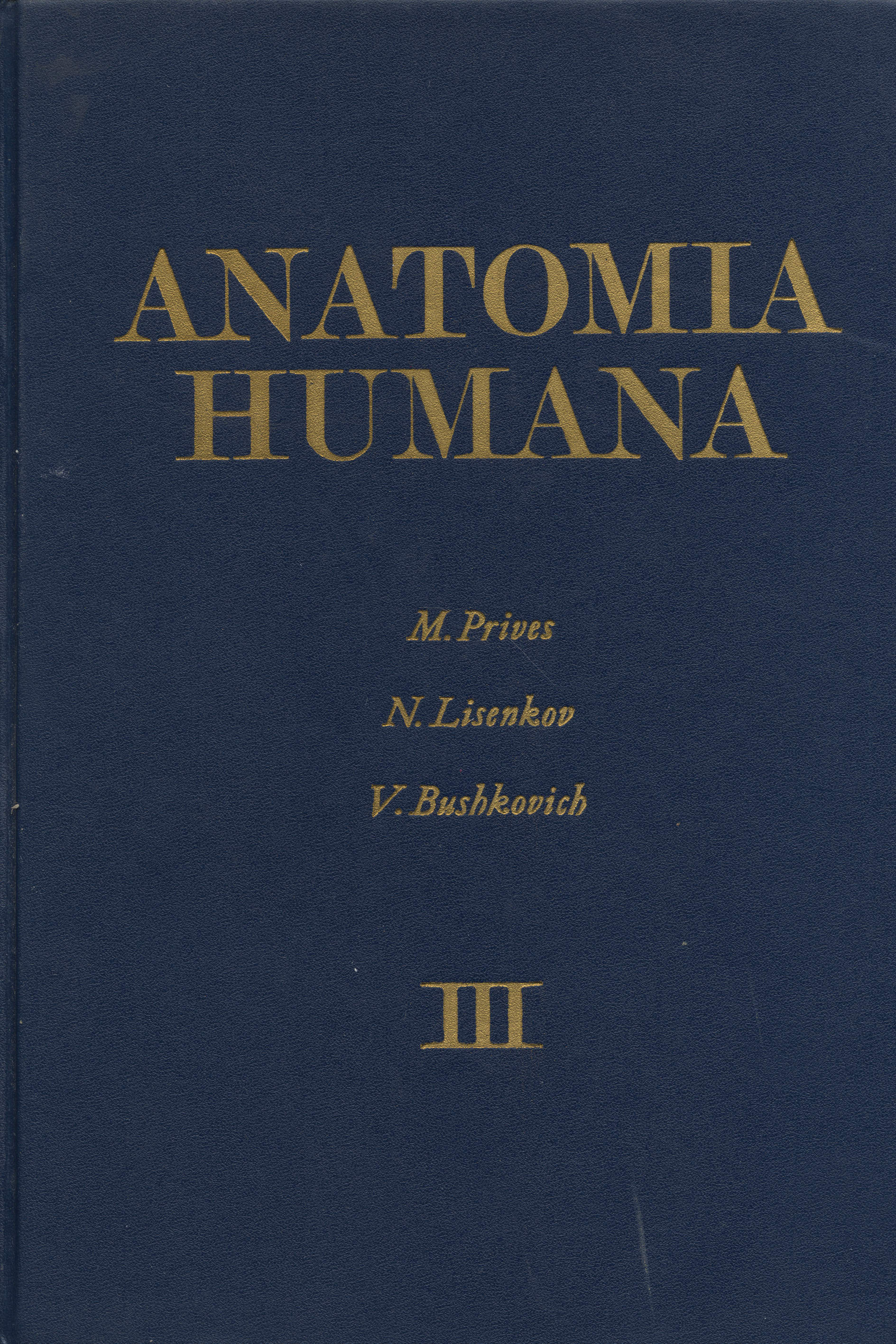 Anatomia humana