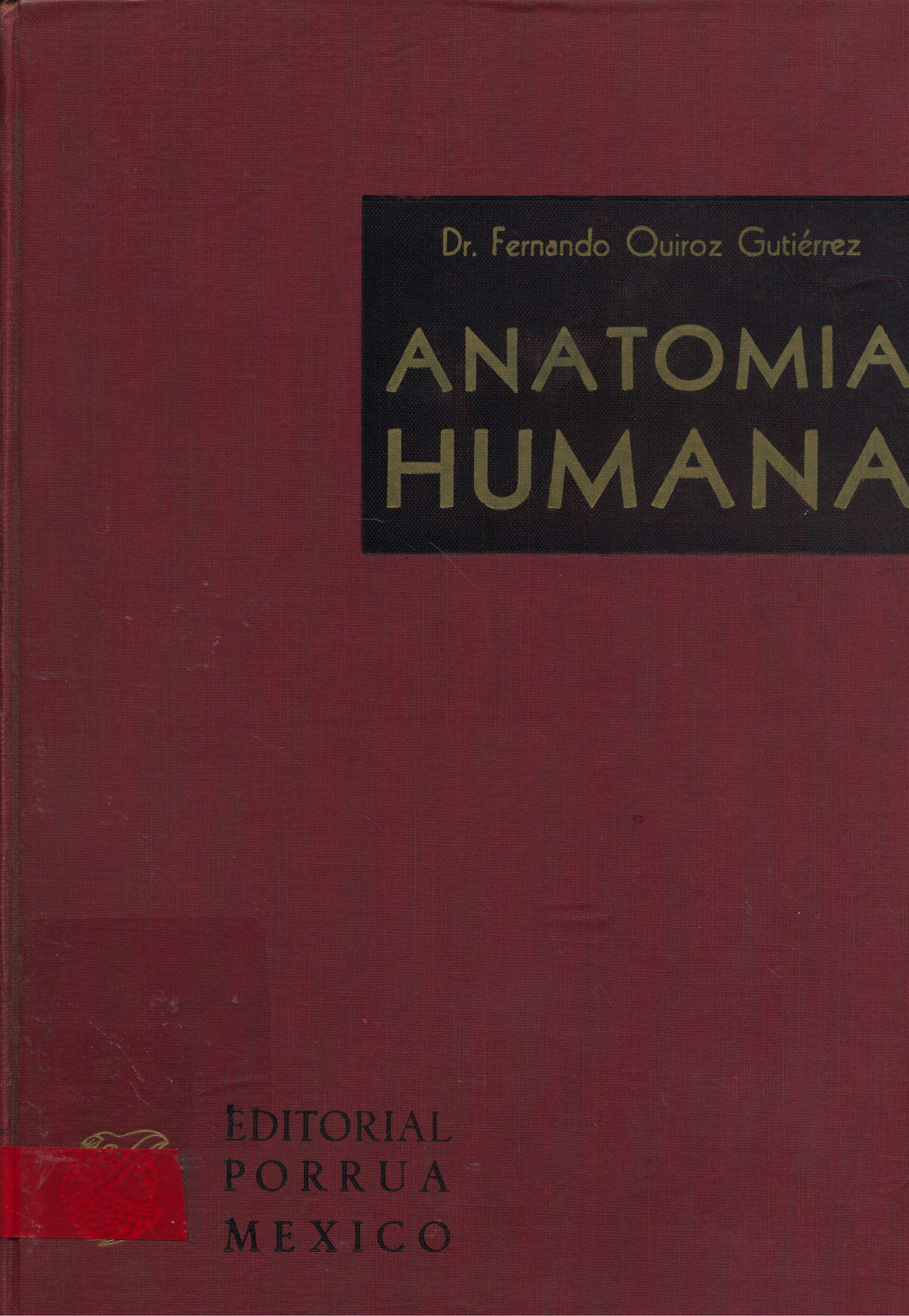 Anatomia humana