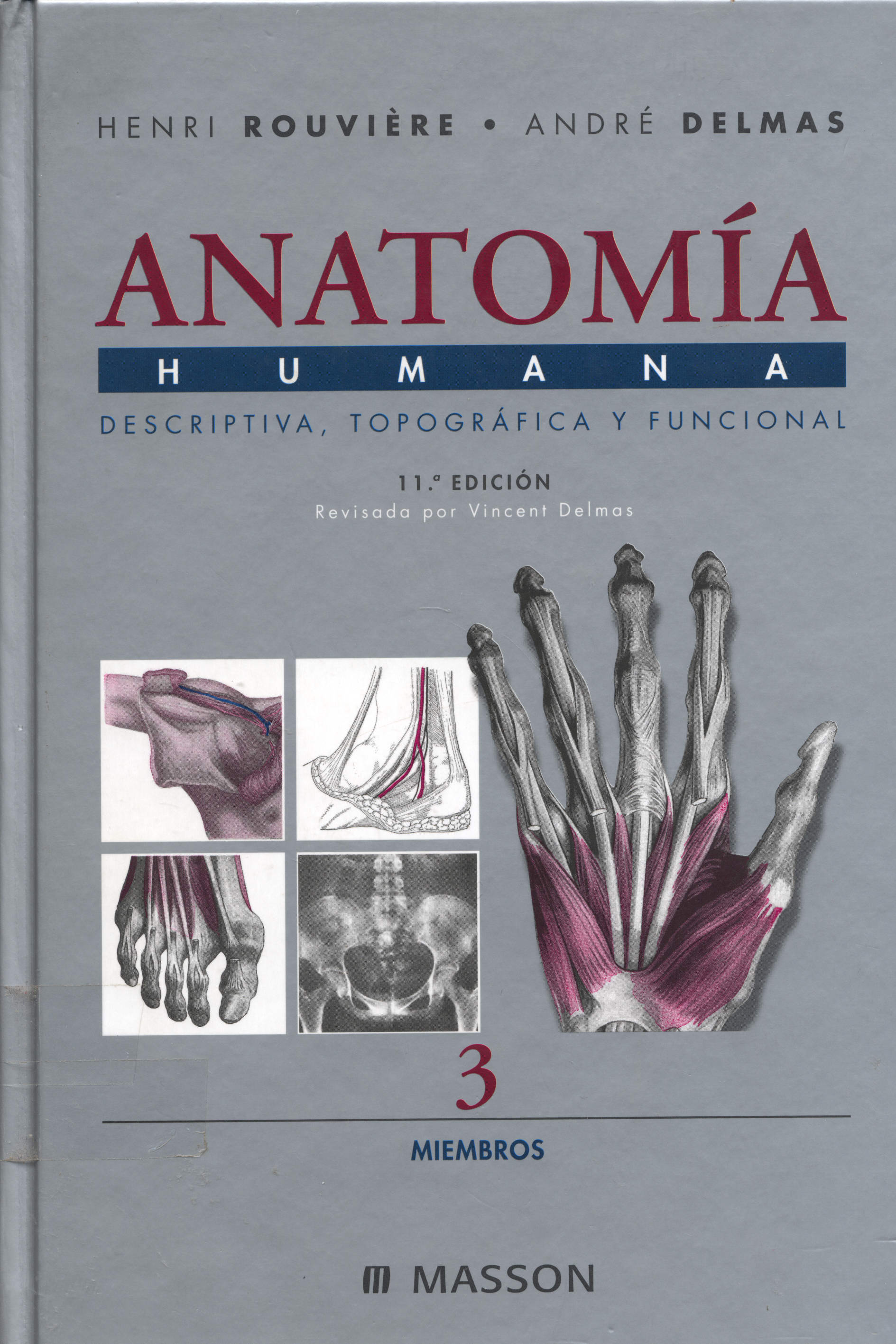Anatomia humana: descriptiva, topografica y funcional; miembros