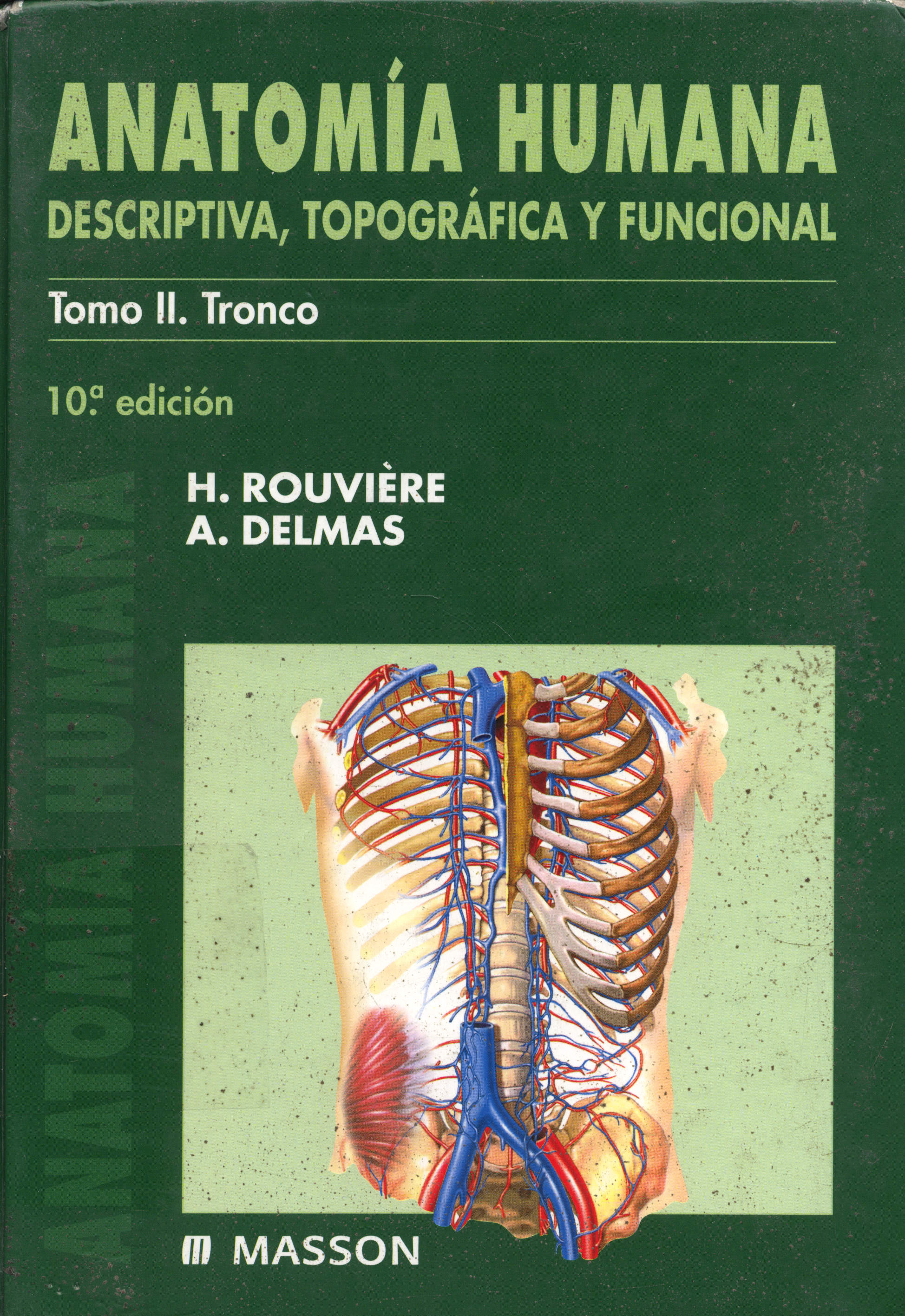 Anatomia humana: descriptiva, topogrßfica y funcional: tronco
      <i>es</i>