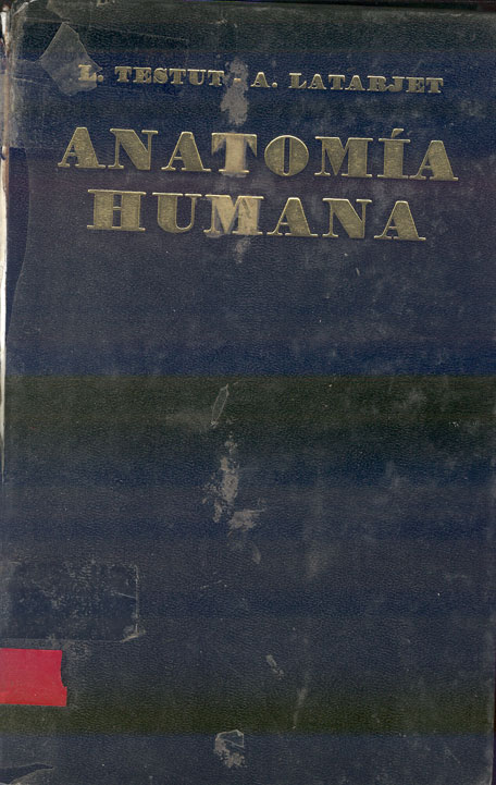 Tratado de anatomia humana: meninges, sistema nervioso periferico, órganos de los sentidos, aparato de la respiración y de la fonación, glßndulas de secreción interna