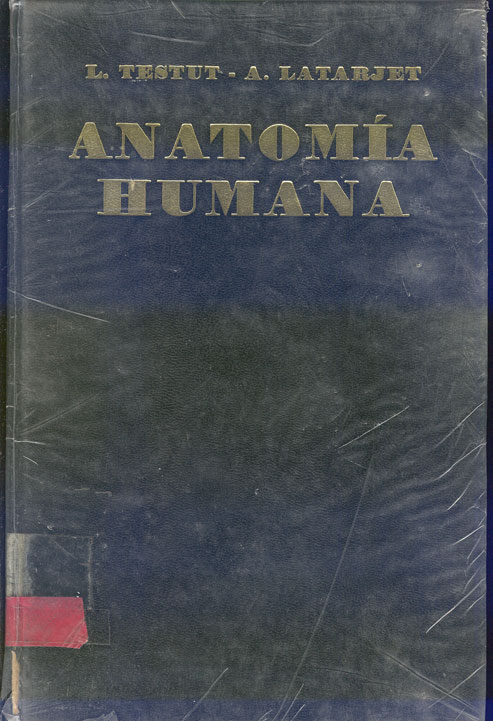 Tratado de anatomia humana: angiloga, sistema nervioso central