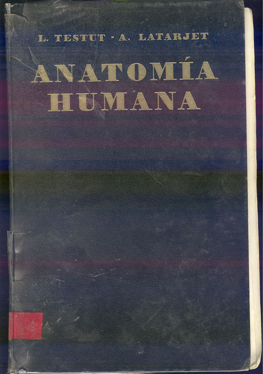 Tratado de anatomia humana: angilogia, sistema nervioso central