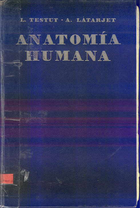 Tratado de anatomia humana: meninges, sistema nervioso periferico, órganos de los sentidos, aparato de la respiración y de la fonación glándulas de secreción interna