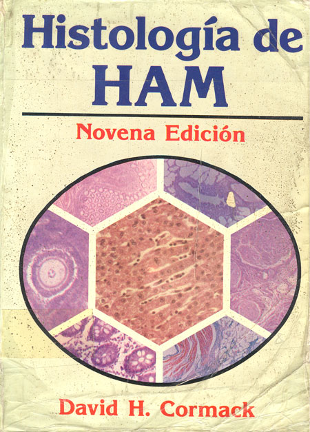 Histologia de HAM
