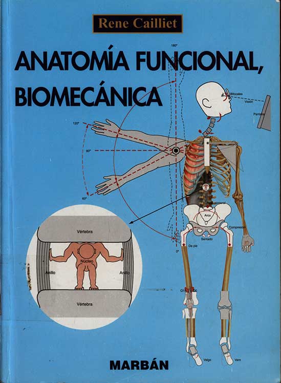 Anatomia funcional biomecanica