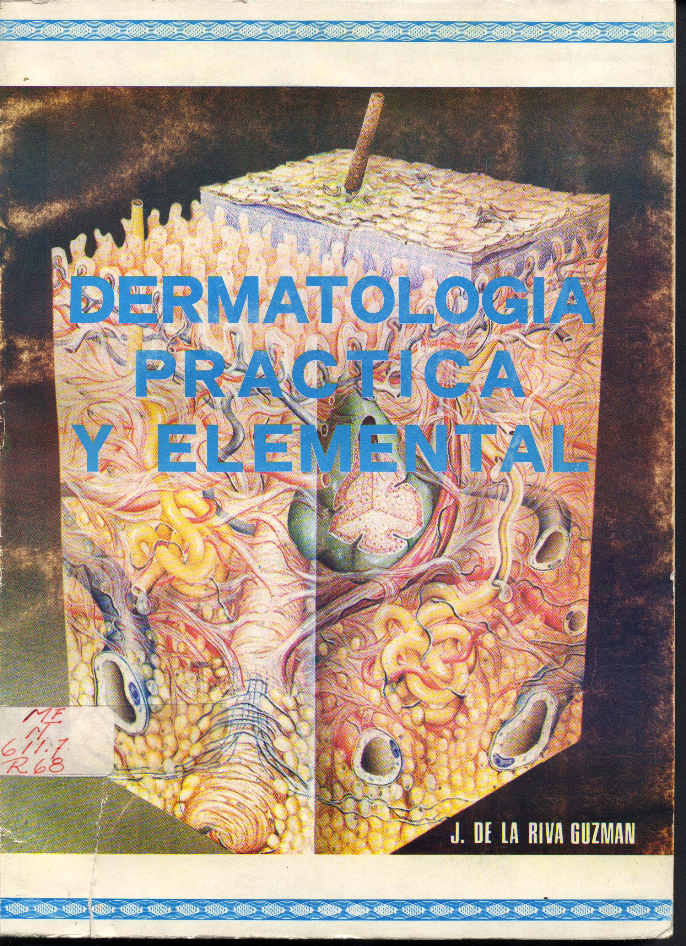 Dermatologia practica y elemental