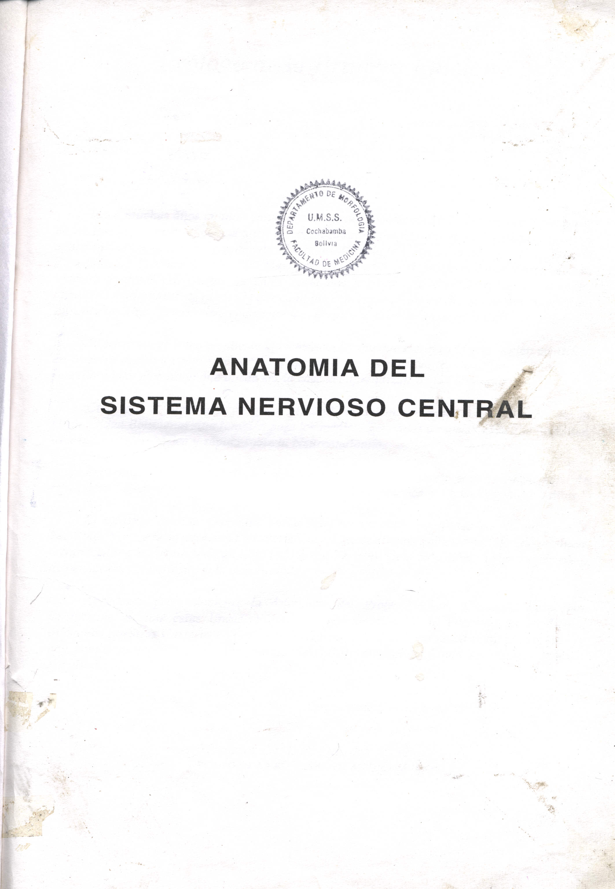 Anatomia del sistema nervioso central