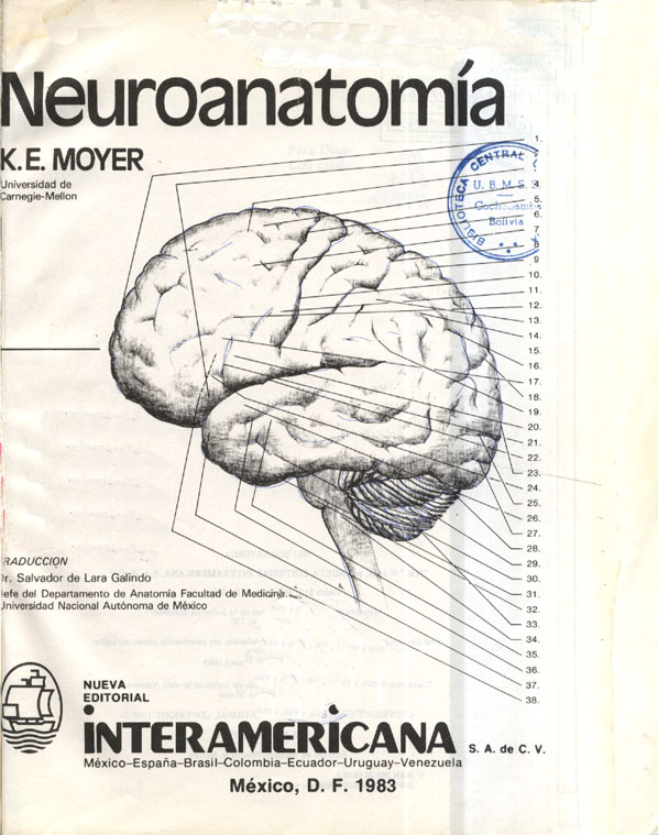 Neuroanatomia