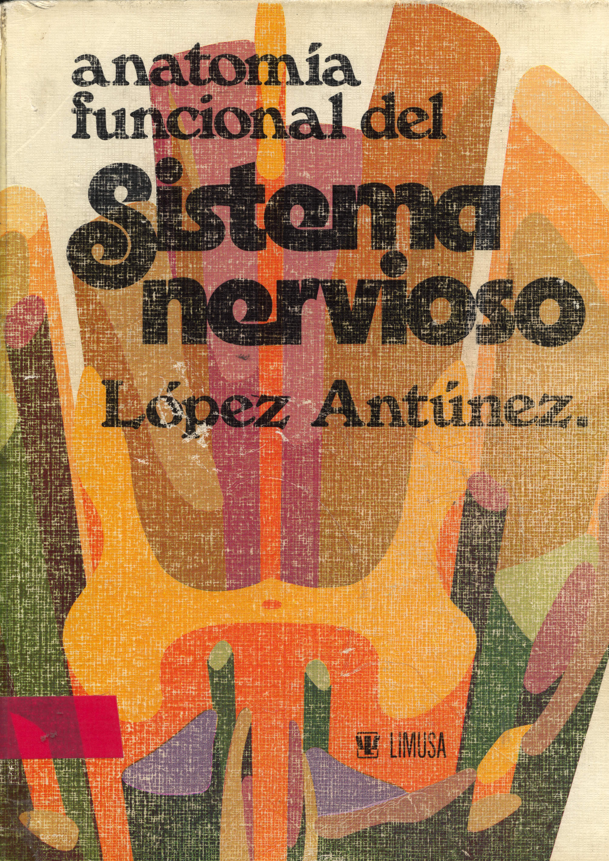 Anatomia funcional del sistema nervioso