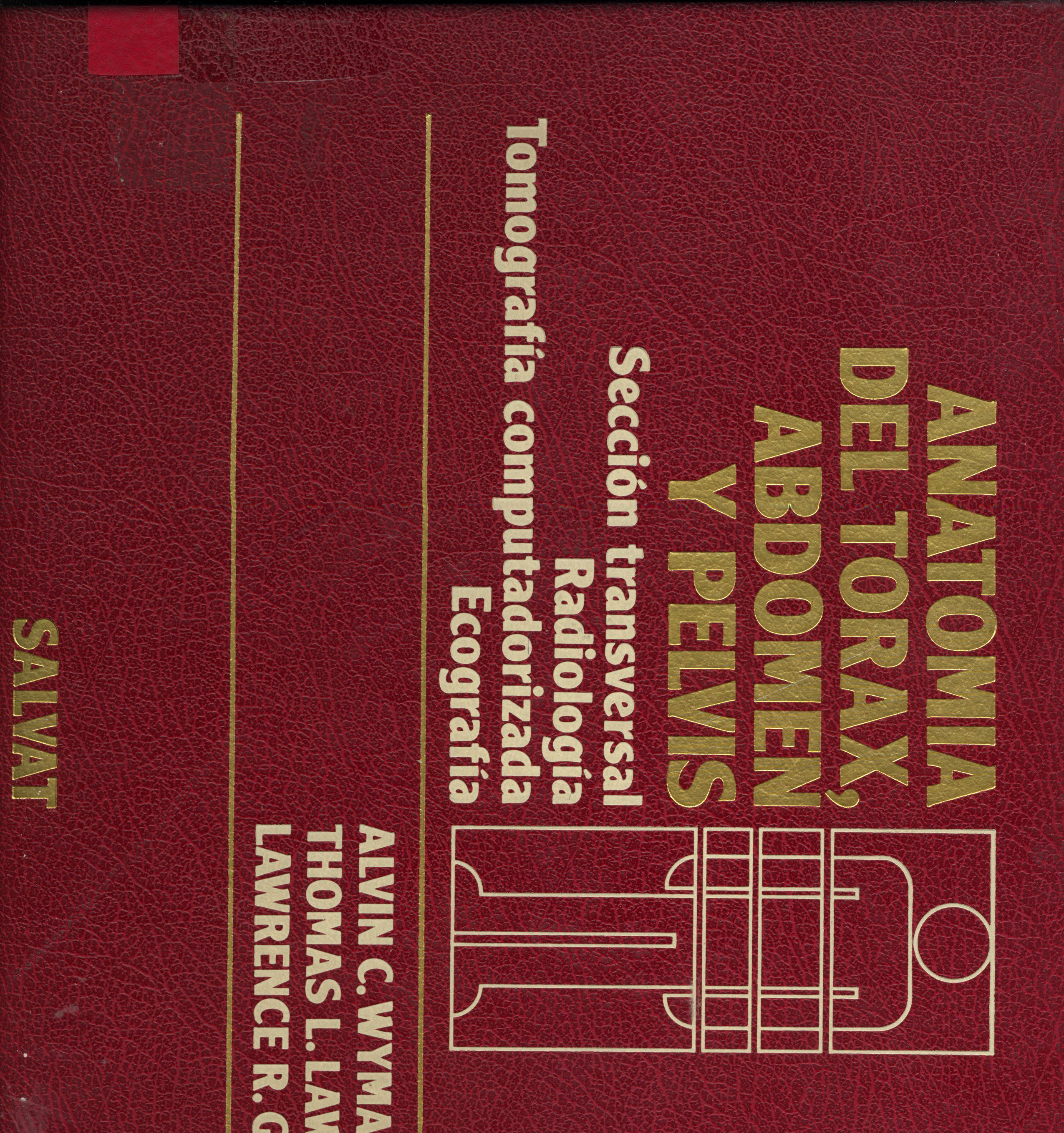 Anatomia del tórax, abdómen y pelvis