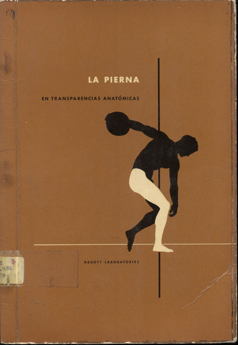 La pierna: en transparencias anatómicas