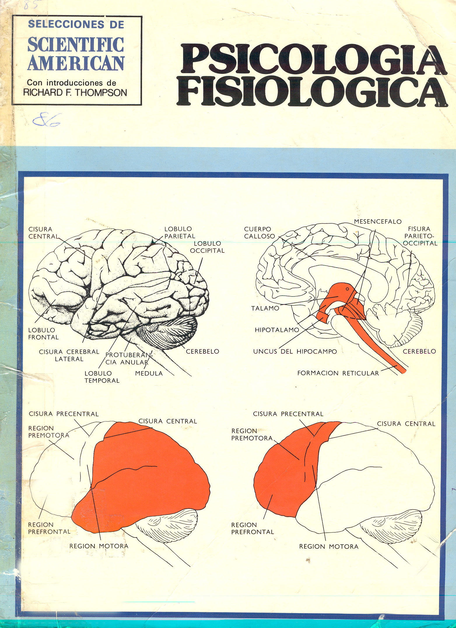 Psicologia fisiológica
