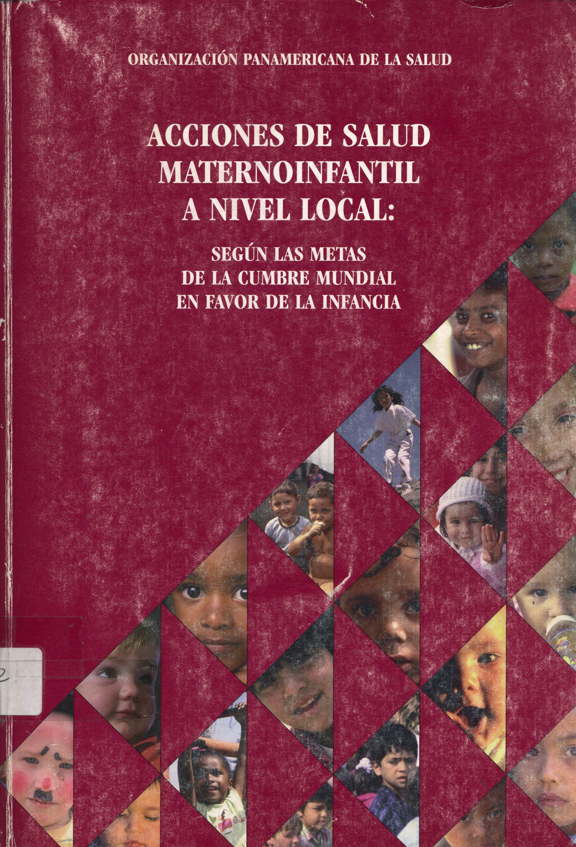 Acciones de Salud Maternoinfantil a Nivel local: segun las metas de la cumbre mundial en favor de la Infancia