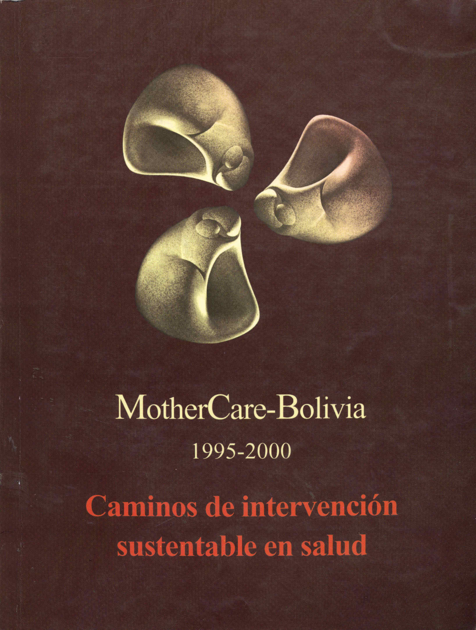Caminos de Intervencion Sustentable en Salud