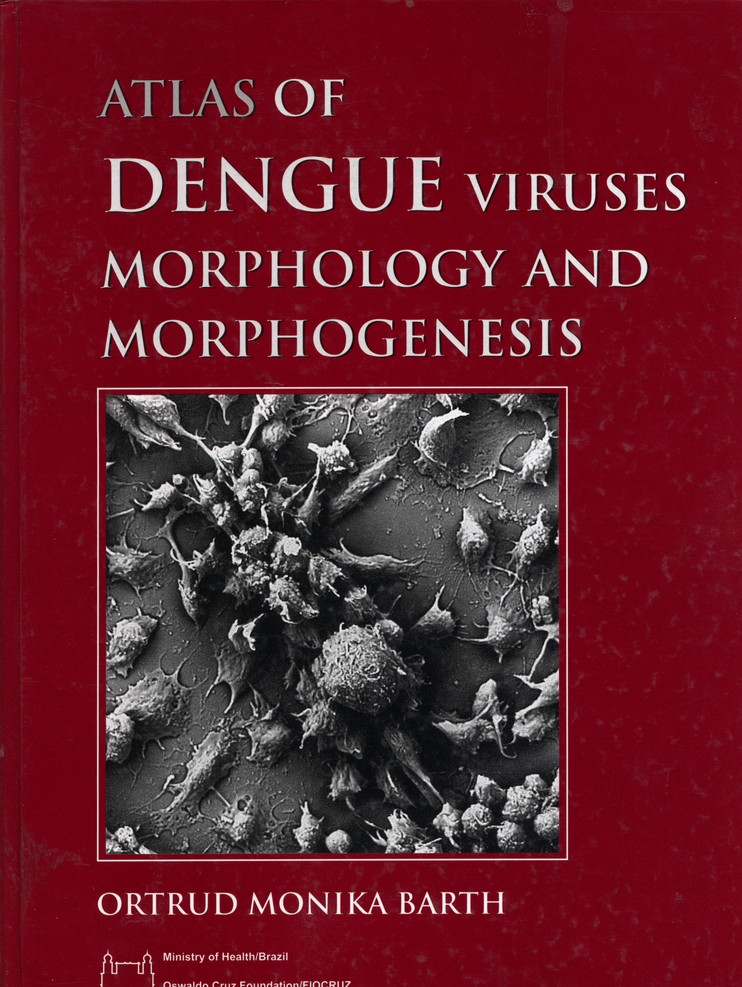 Atlas Dengue Viruses Morphology and Morphogenesis